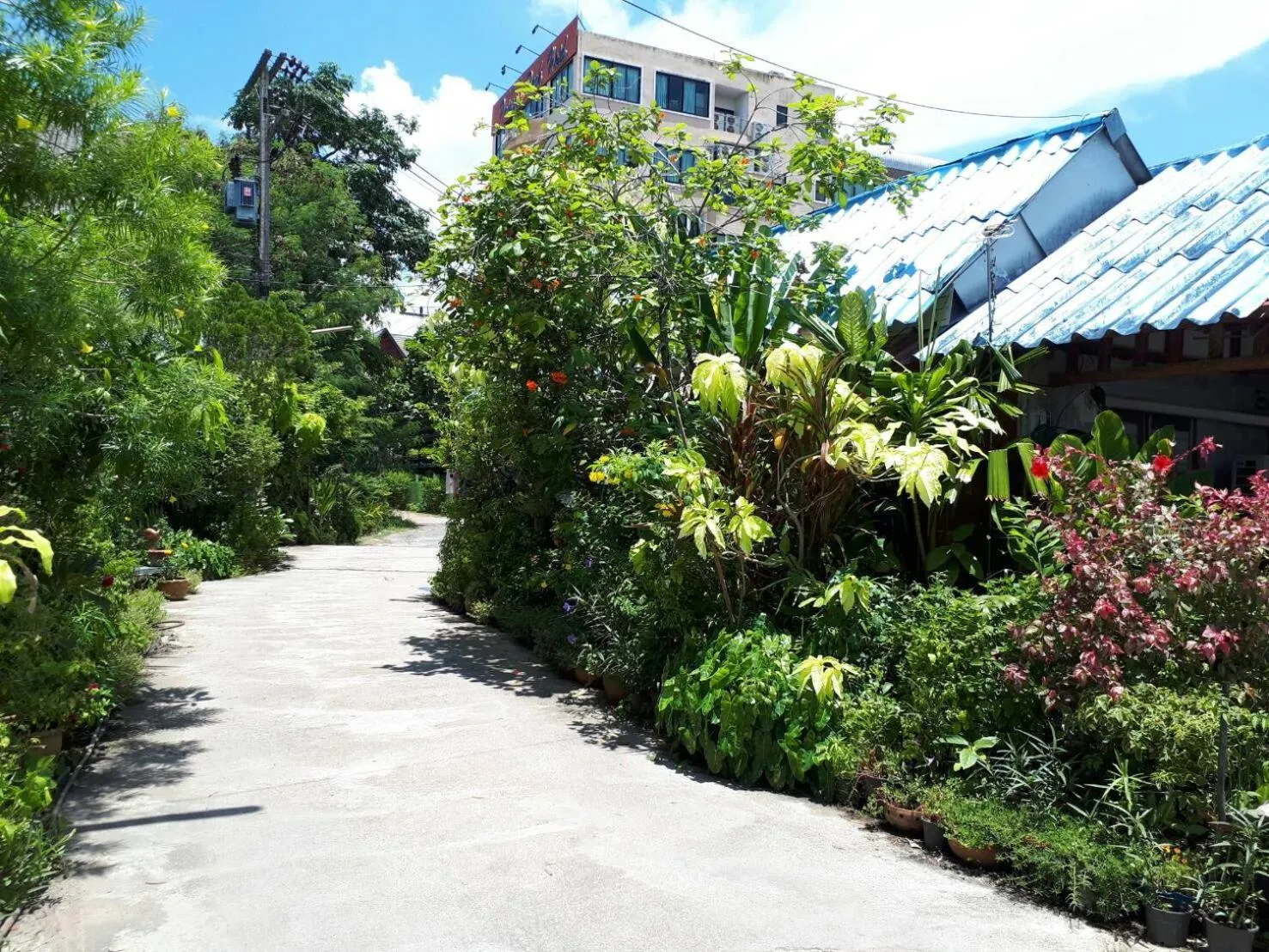 On site in Kanjana Resort