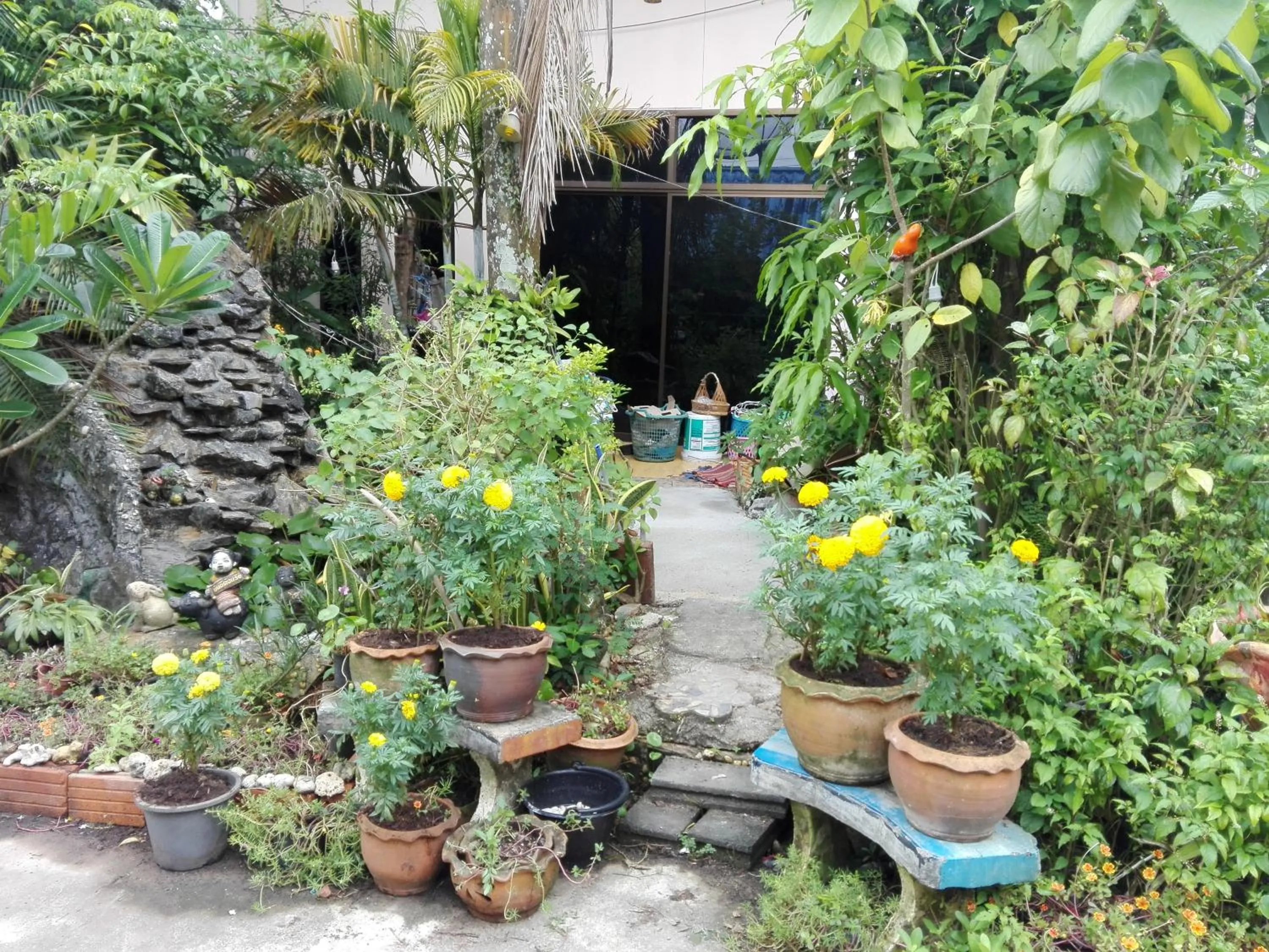 Garden in Kanjana Resort