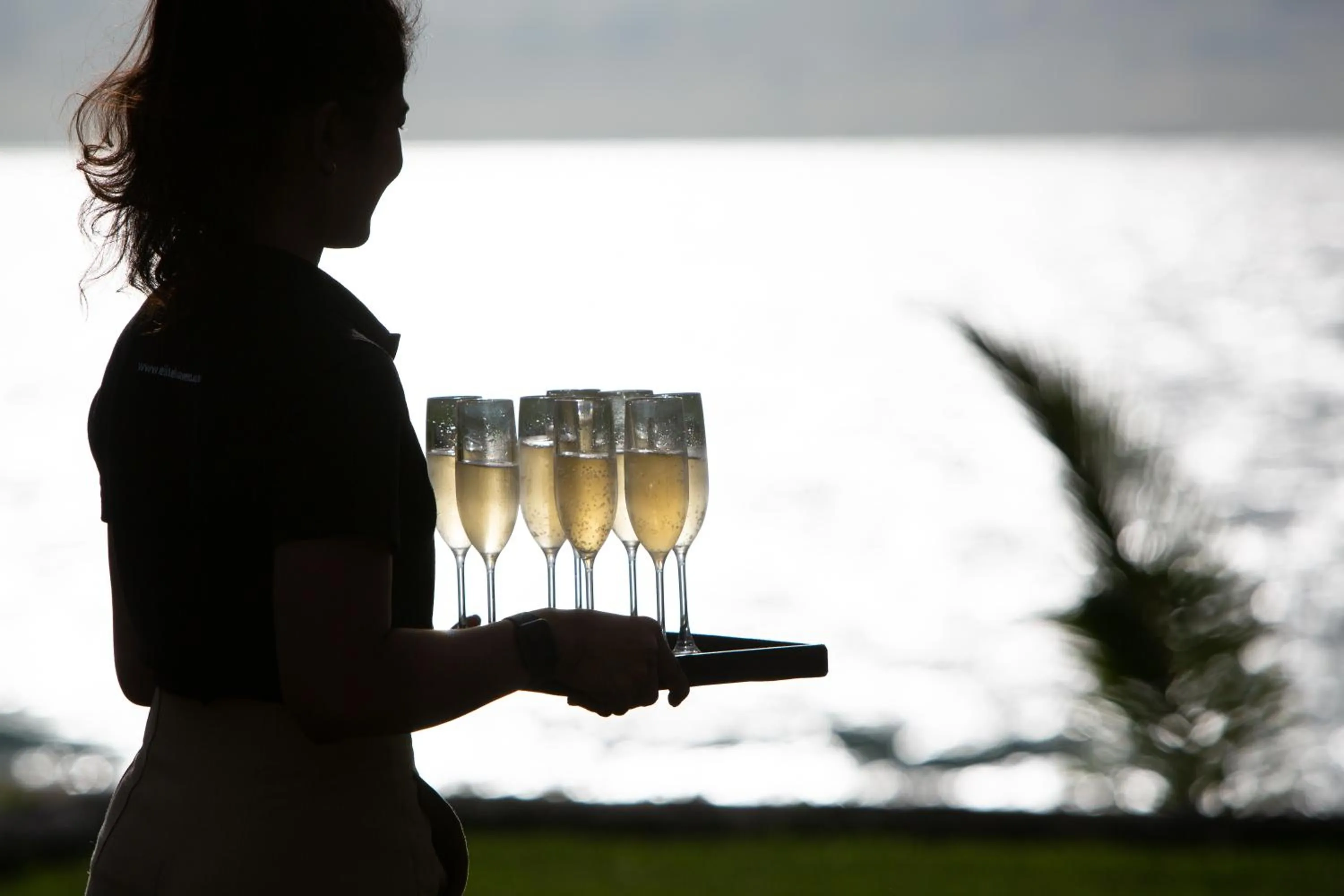 Food and drinks in Sava Beach Villas