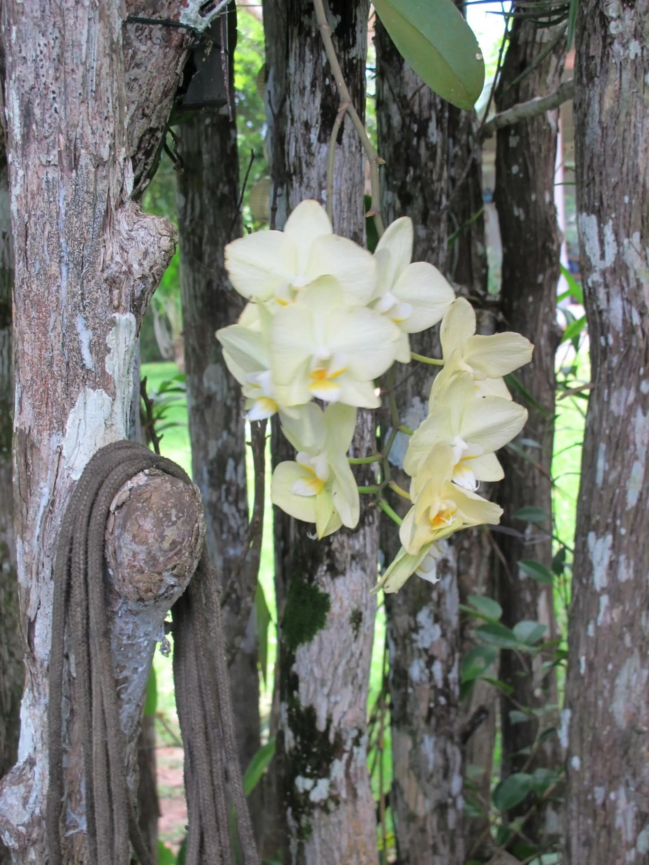 Day in Casa Grande São Vicente