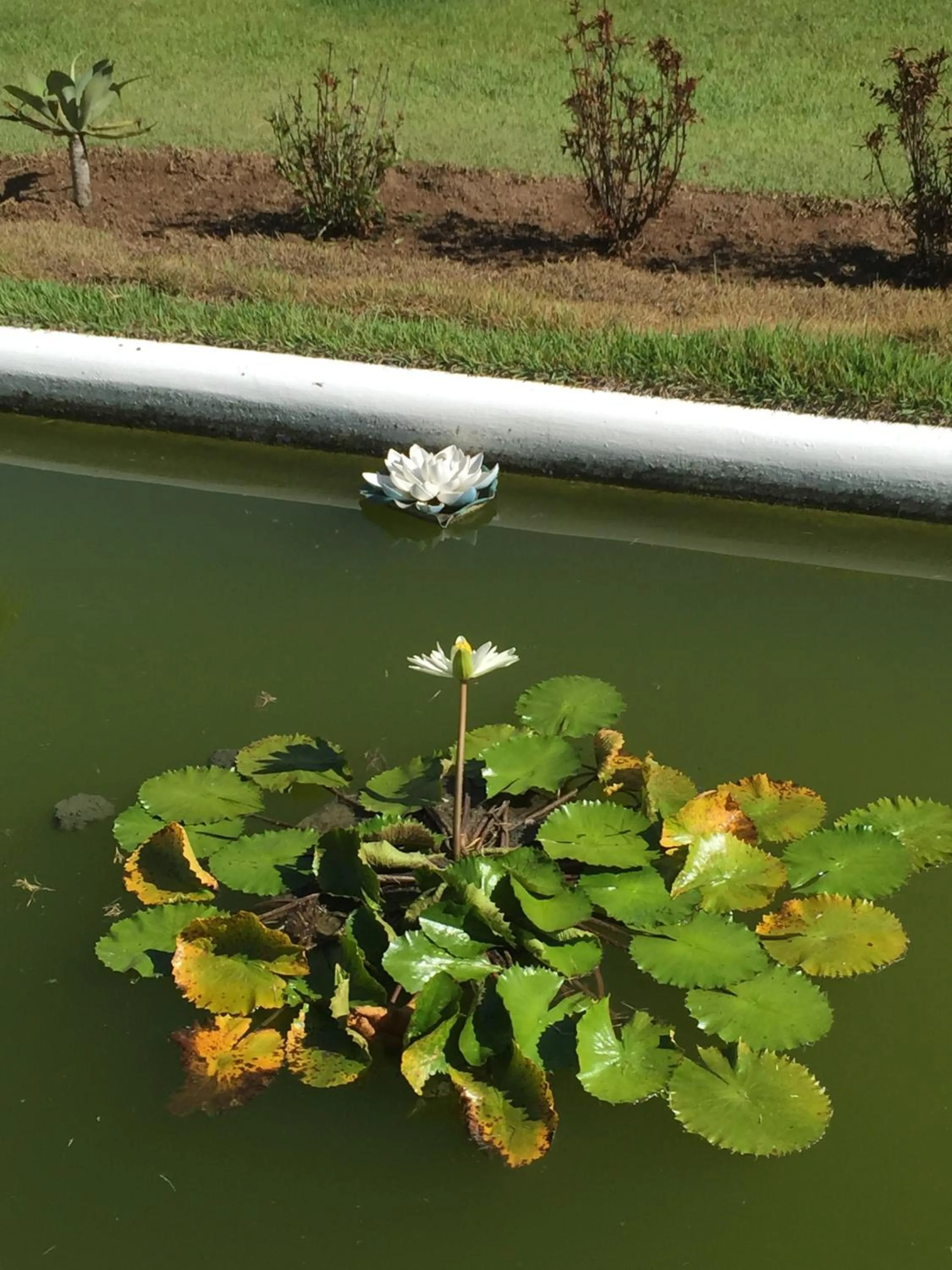 Day in Casa Grande São Vicente
