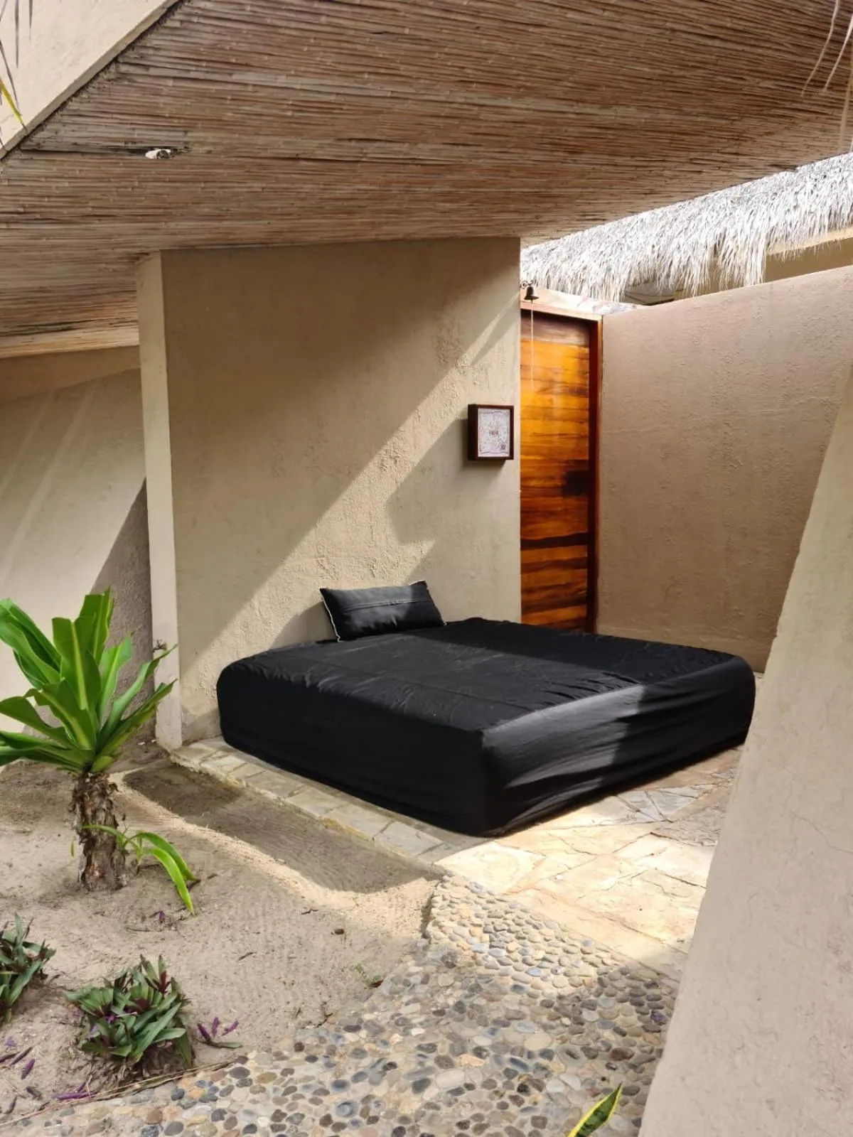 View (from property/room) in Isla Tajín