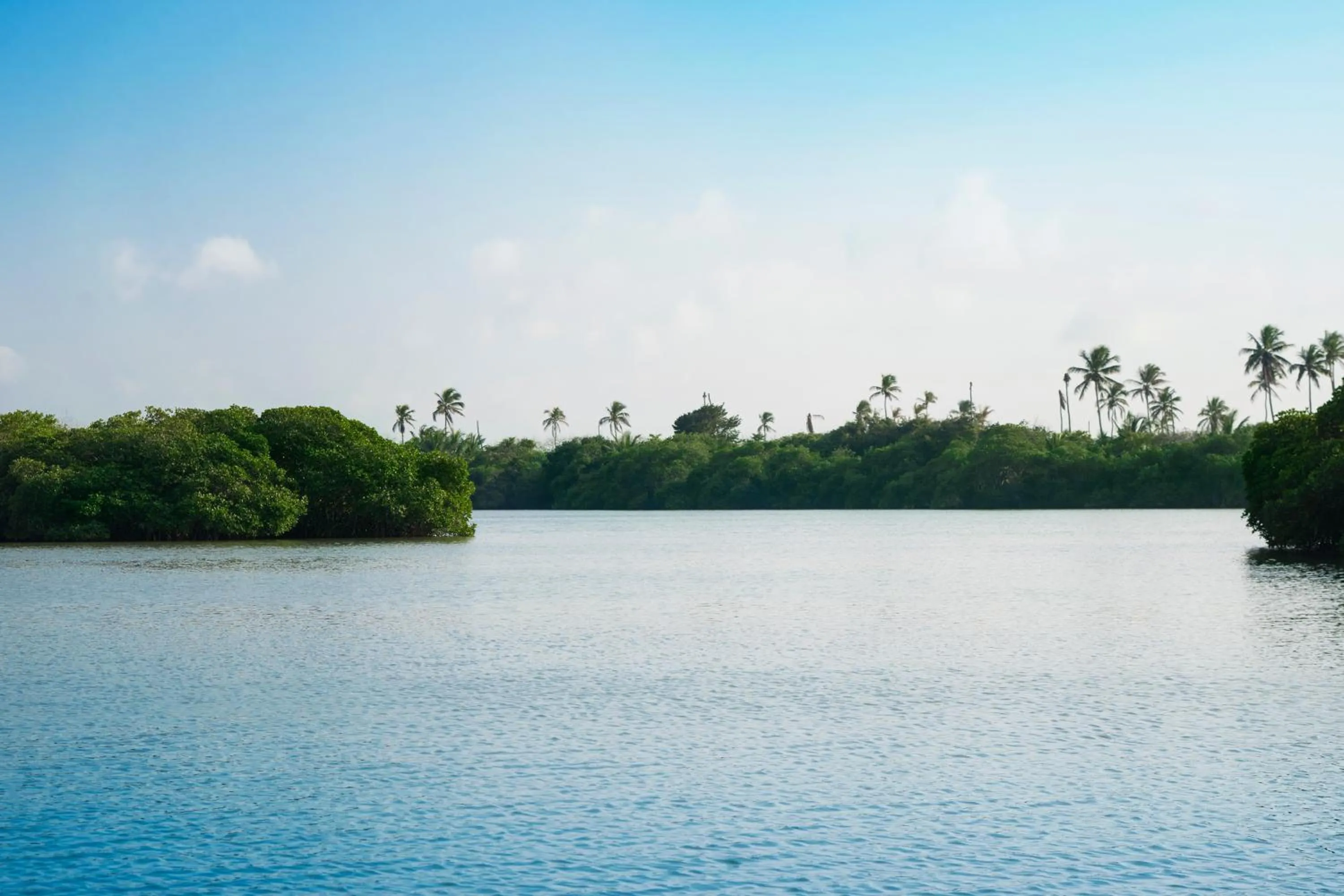 Natural landscape in Isla Tajín