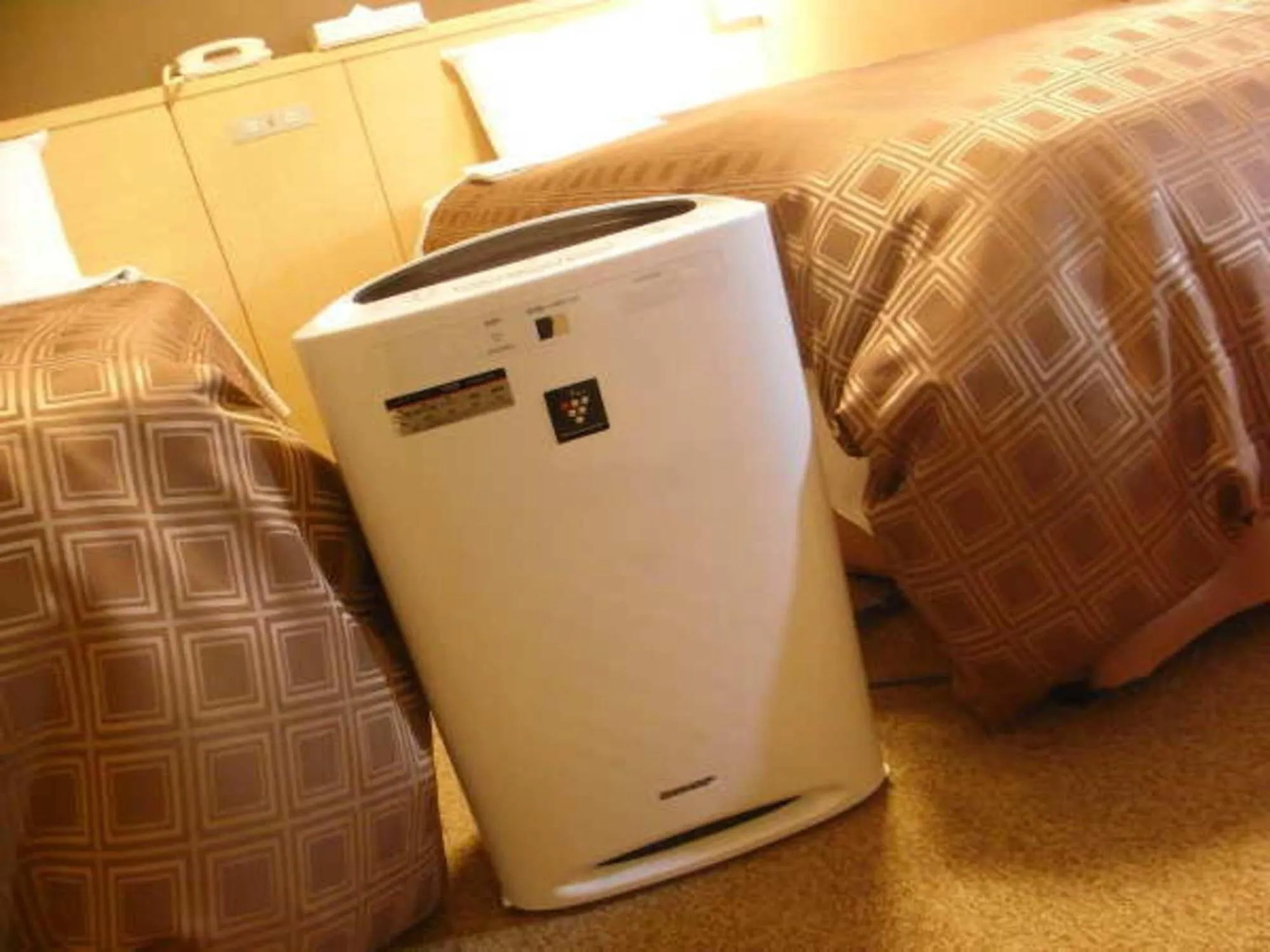 Photo of the whole room in Hotel Sunroute Sapporo