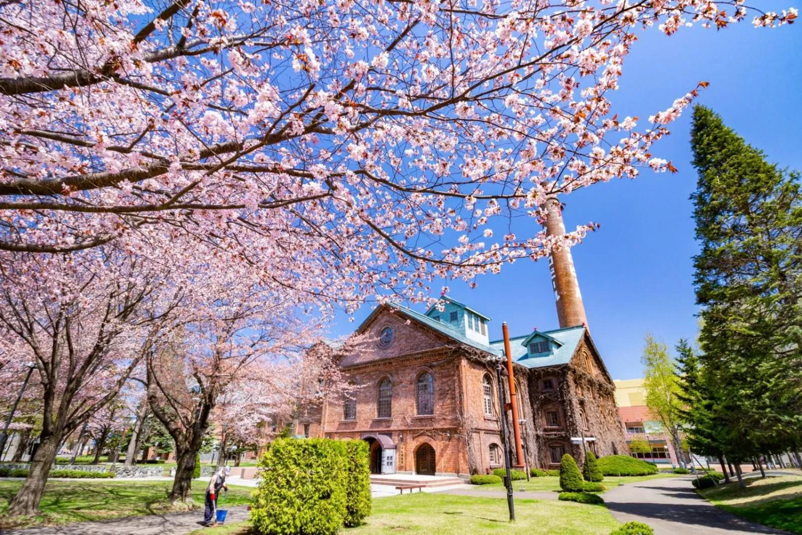 Nearby landmark in Hotel Sunroute Sapporo