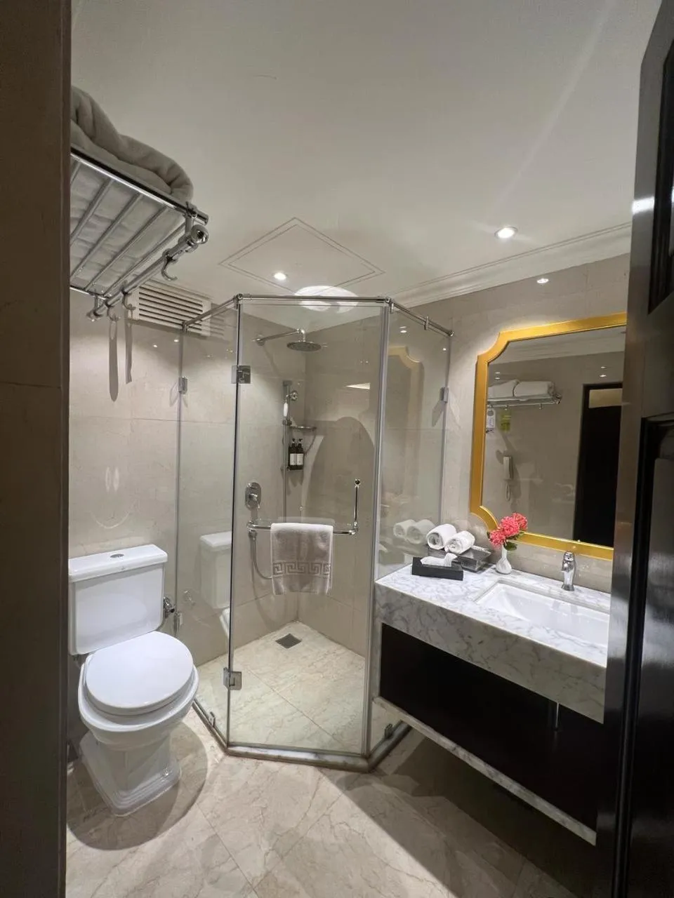 Shower in Royal Orchid Metropole Mysore