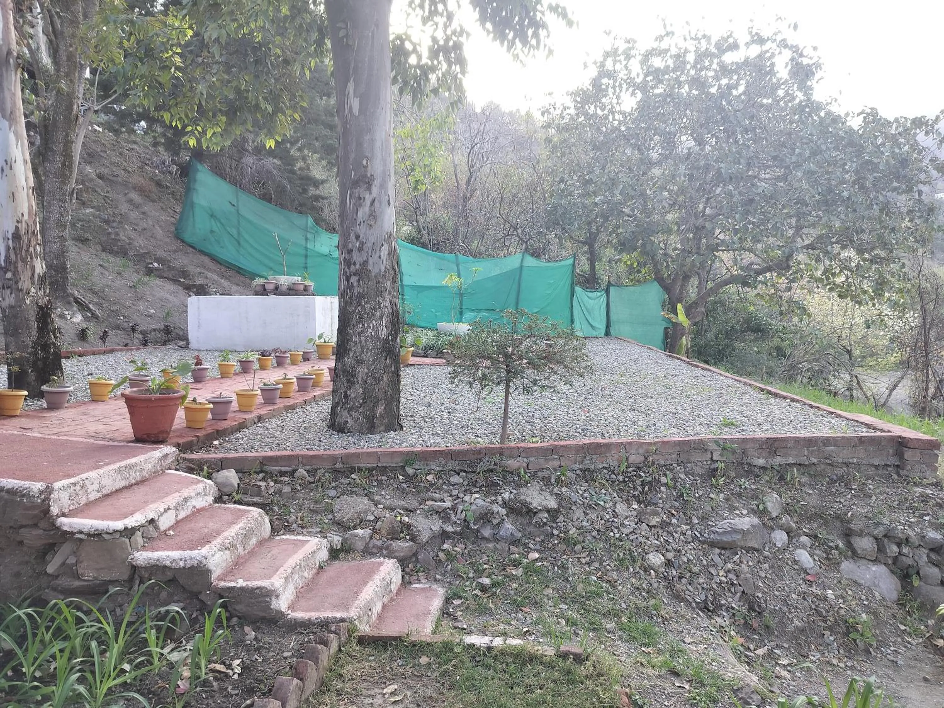 Garden in ROSASTAYS Jeolikote