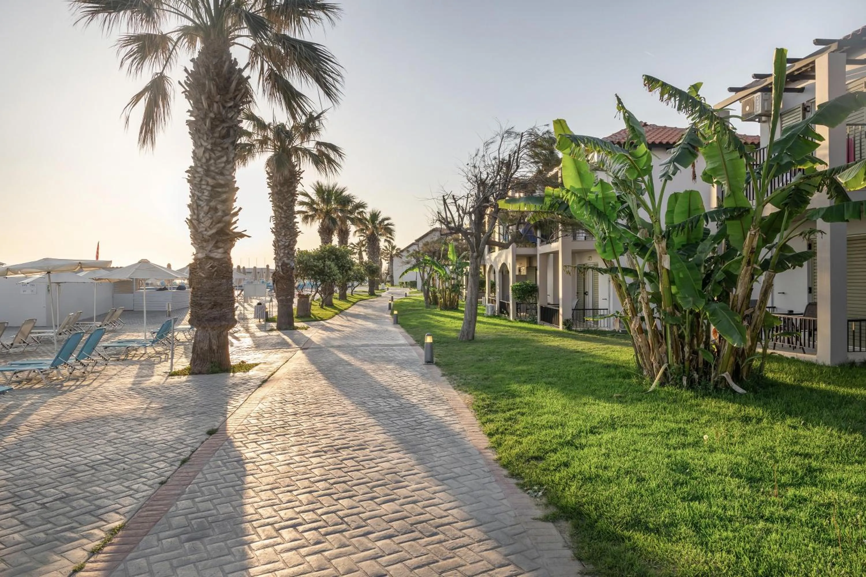 Garden in White Olive Marine Aquapark