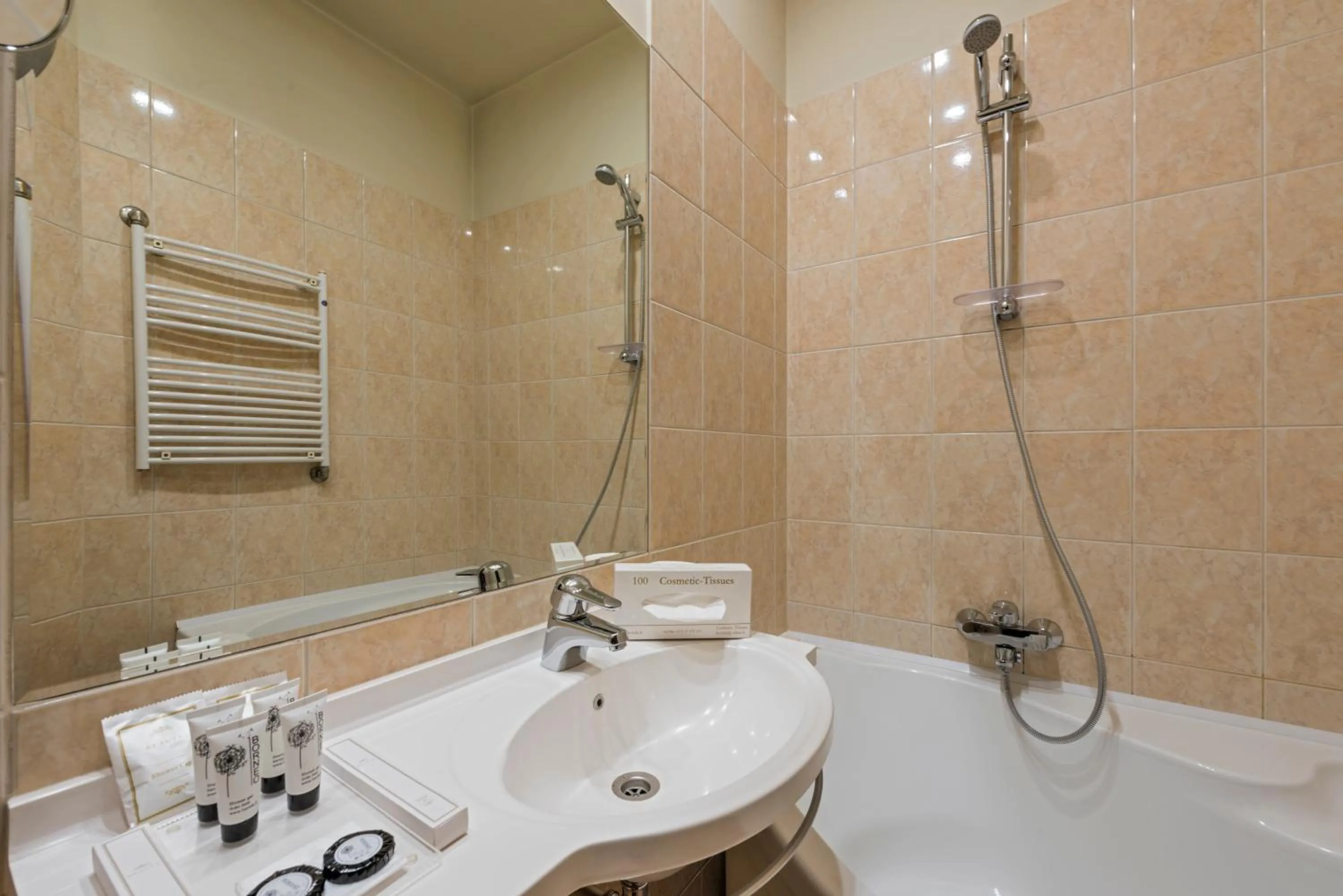 Bathroom in Congress Hotel