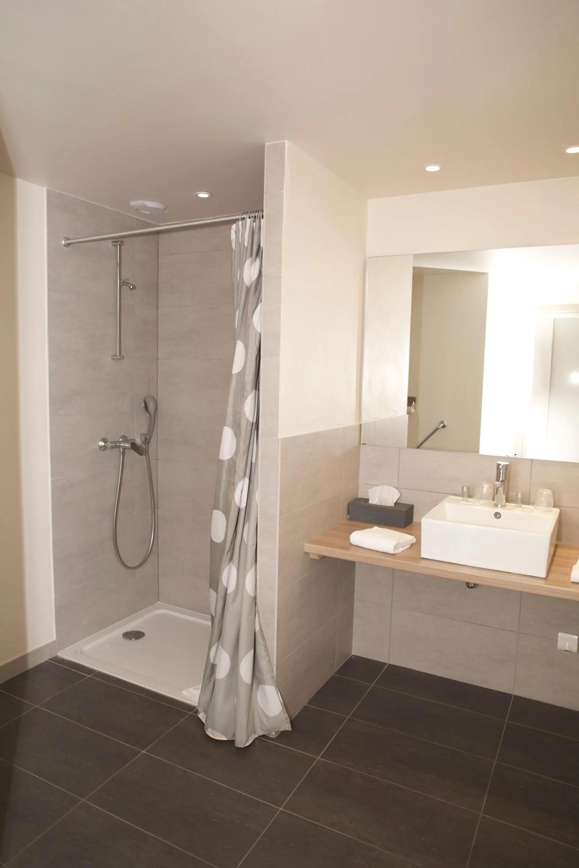 Bathroom in Hôtel Val d'Este