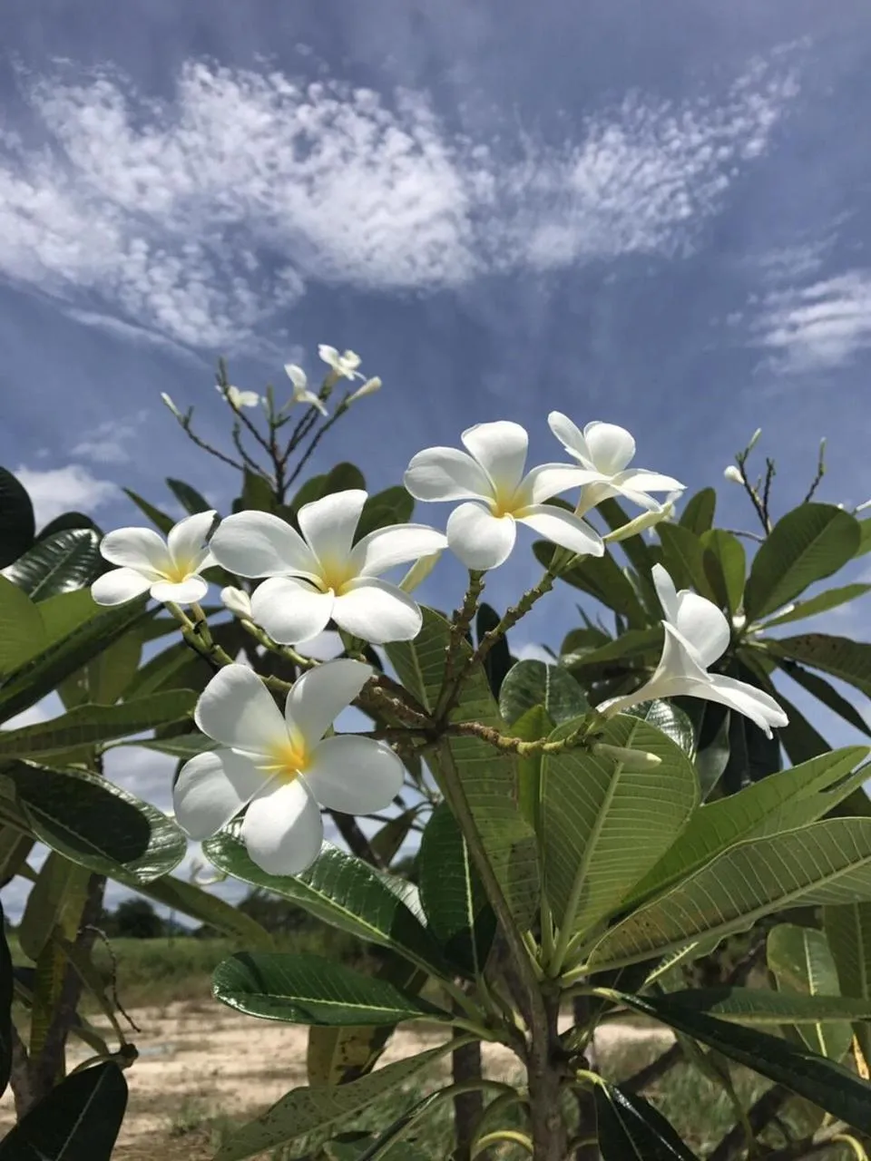 Baan Rabiengkao Hua Hin