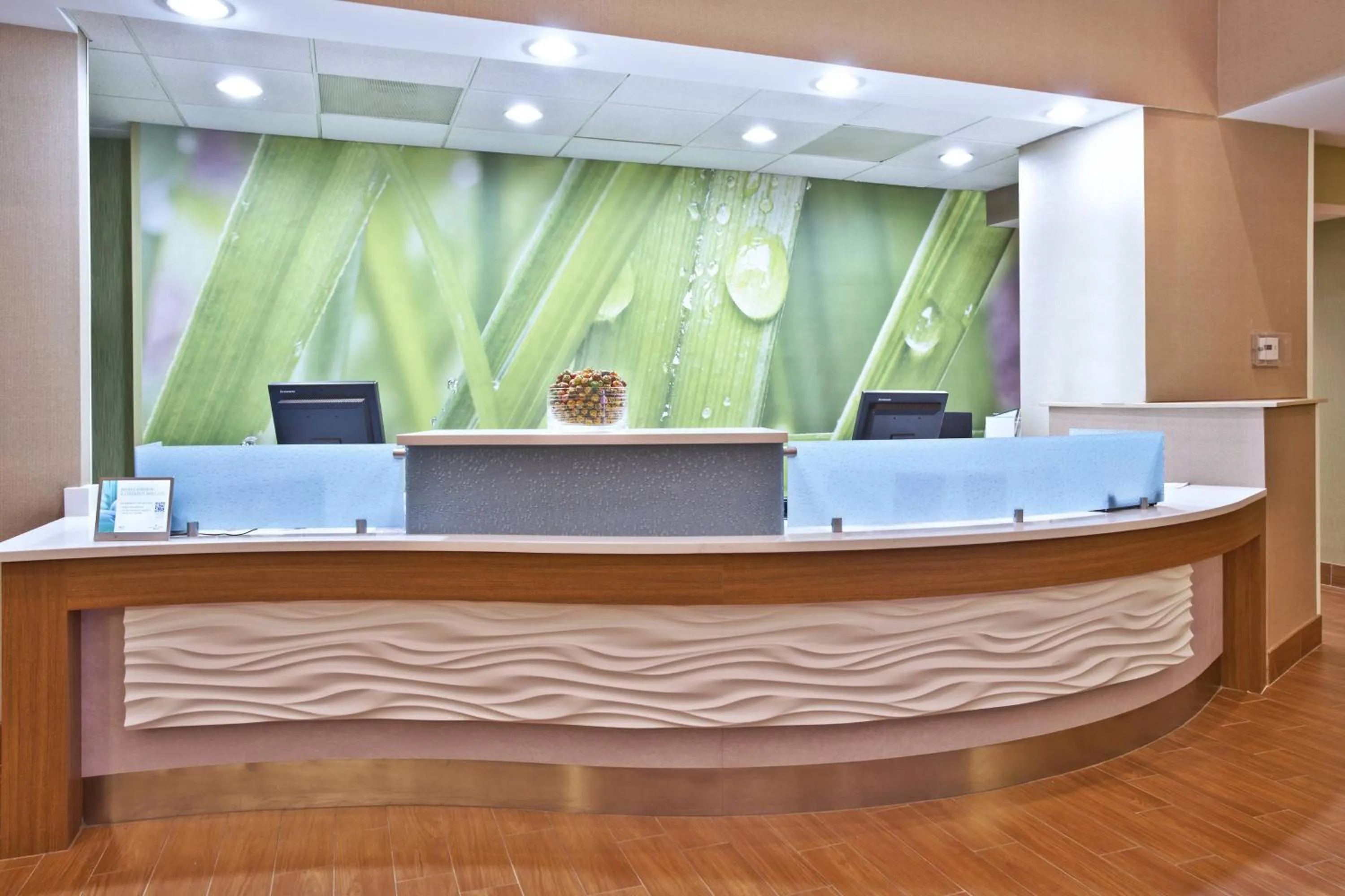 Lobby or reception in Springhill Suites by Marriott Chicago Elmhurst Oakbrook Area