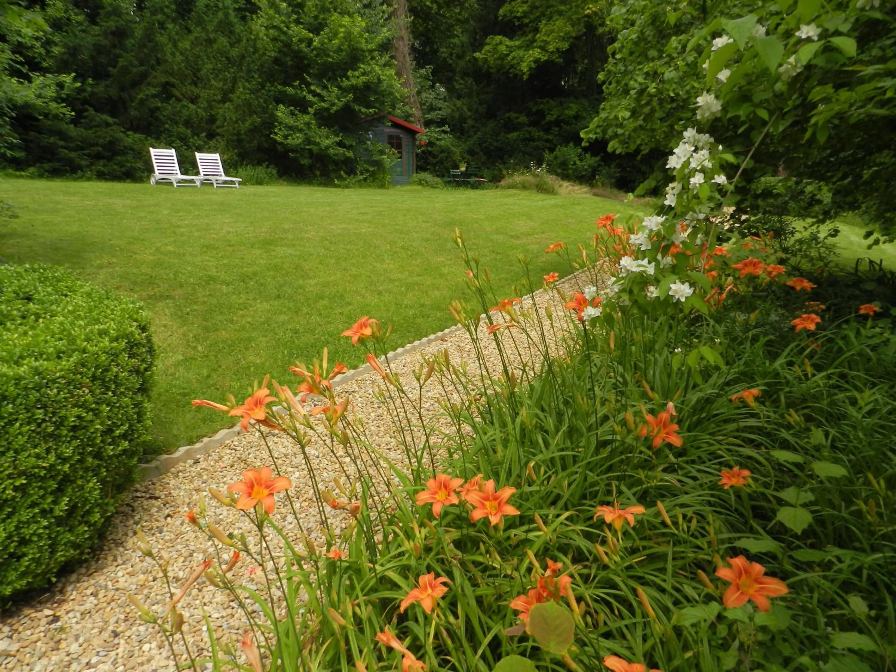 Garden in Manoir des Cavaliers - BnB