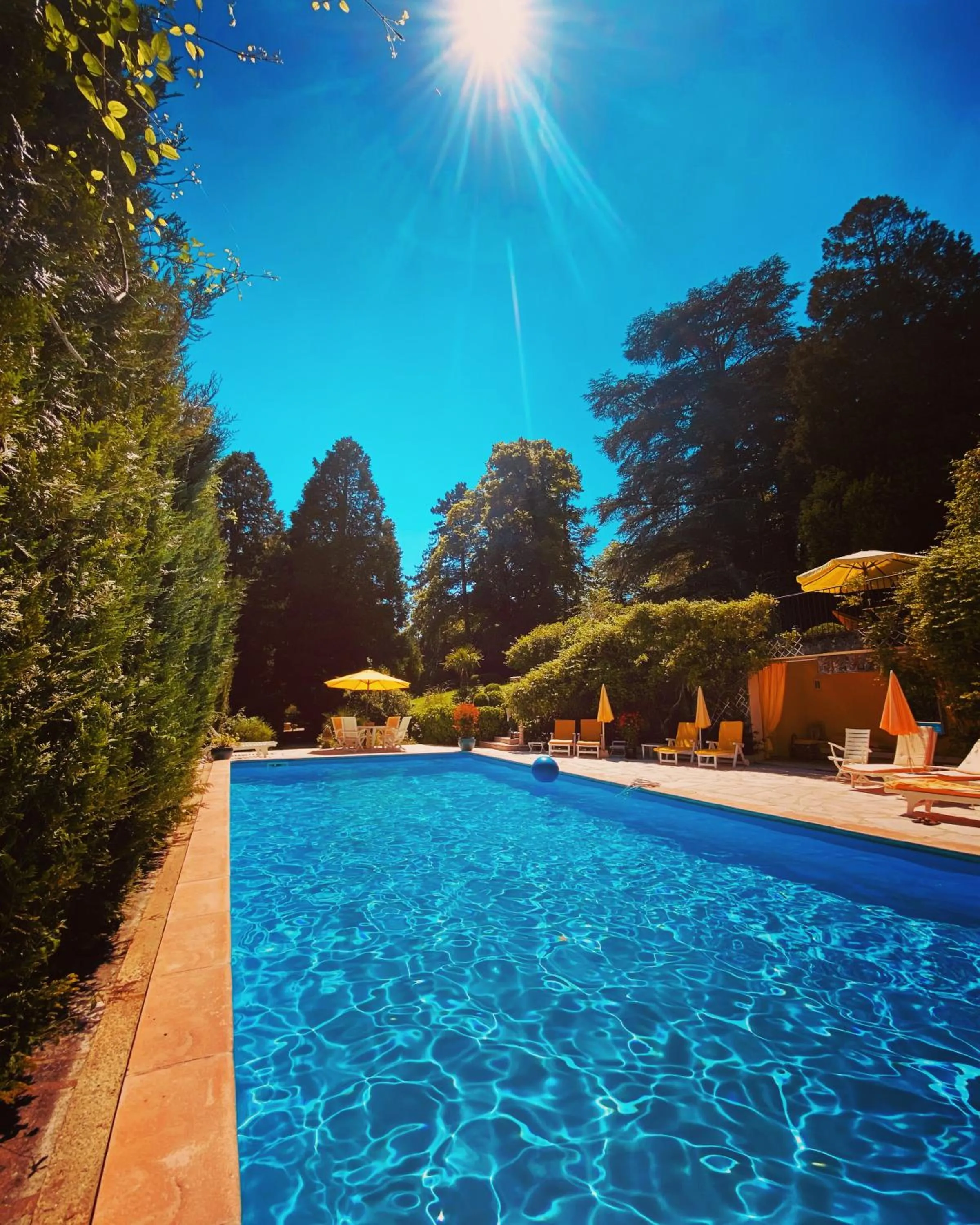 Swimming pool in Manoir des Cavaliers - BnB