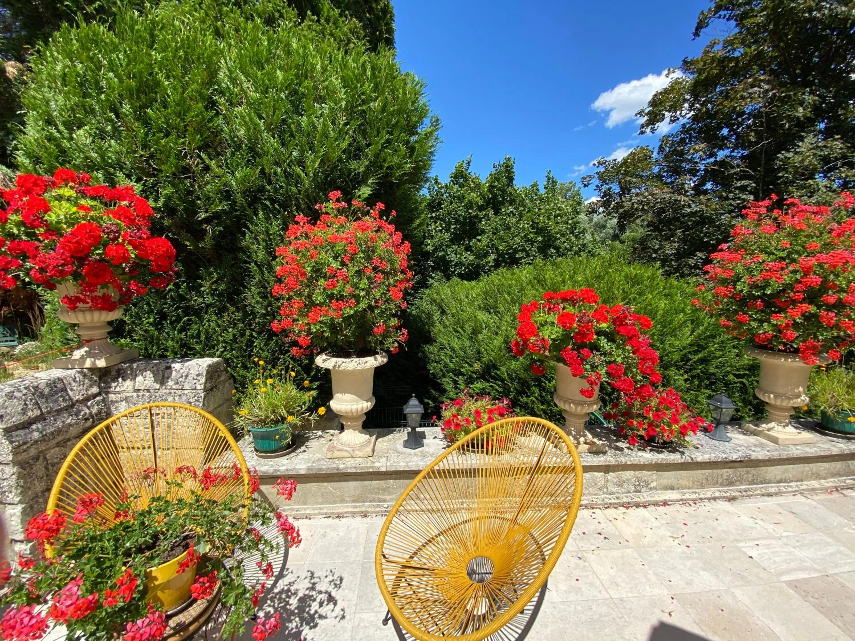 Patio in Manoir des Cavaliers - BnB