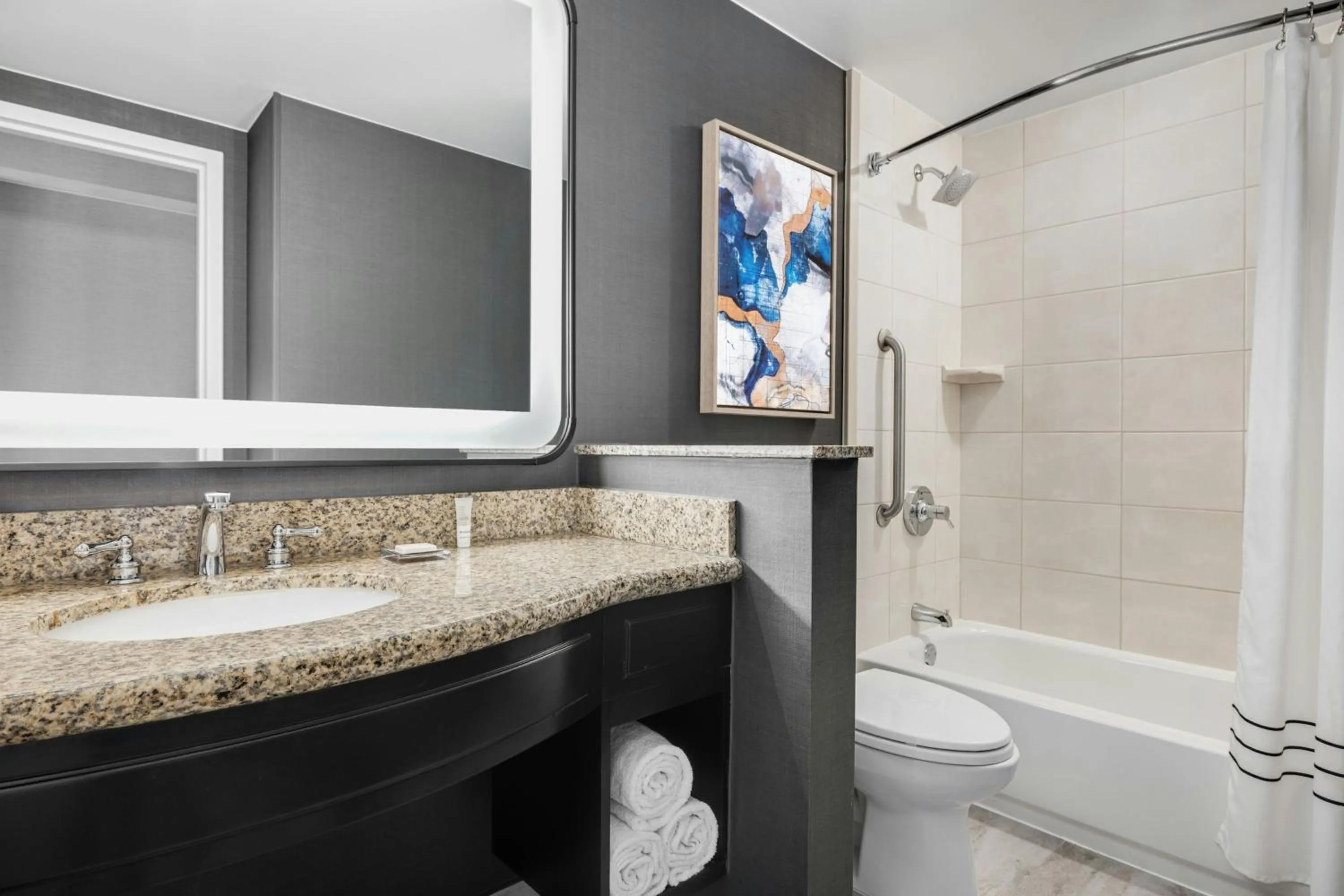 Bathroom in Chicago Marriott Midway