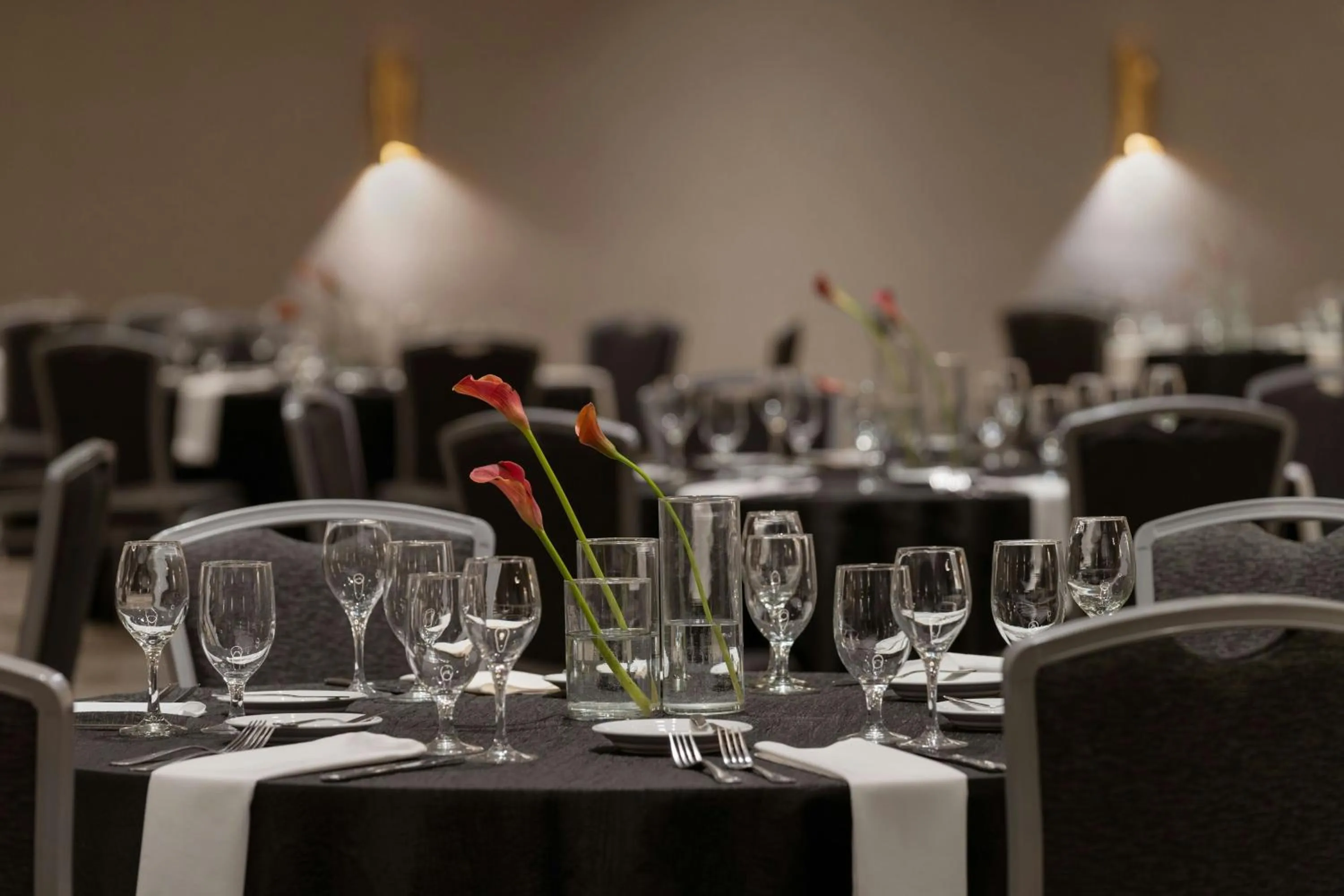 Meeting/conference room in Renaissance Chicago North Shore Hotel