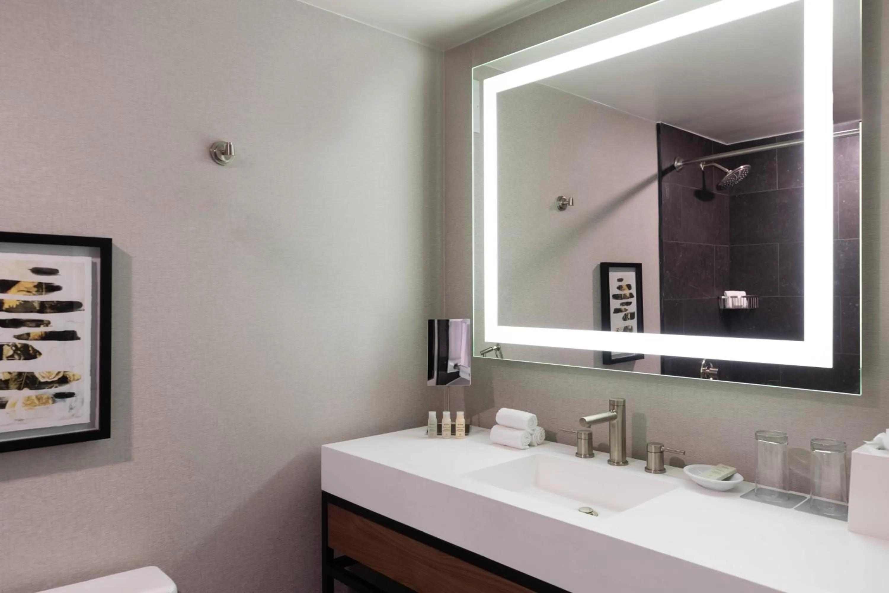 Bathroom in Renaissance Chicago North Shore Hotel