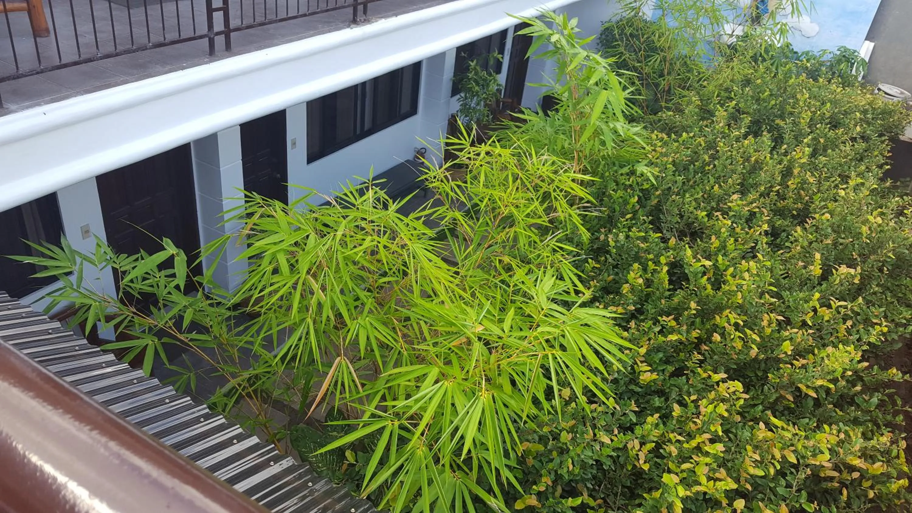 Garden in Residencia Lourdes