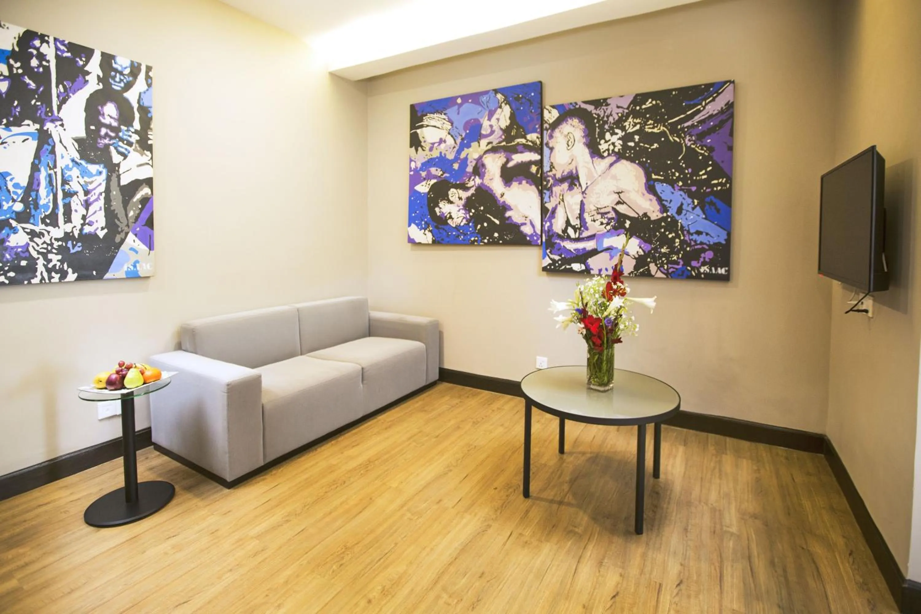 TV and multimedia in San Cristobal Boutique Hotel - Ivato Airport