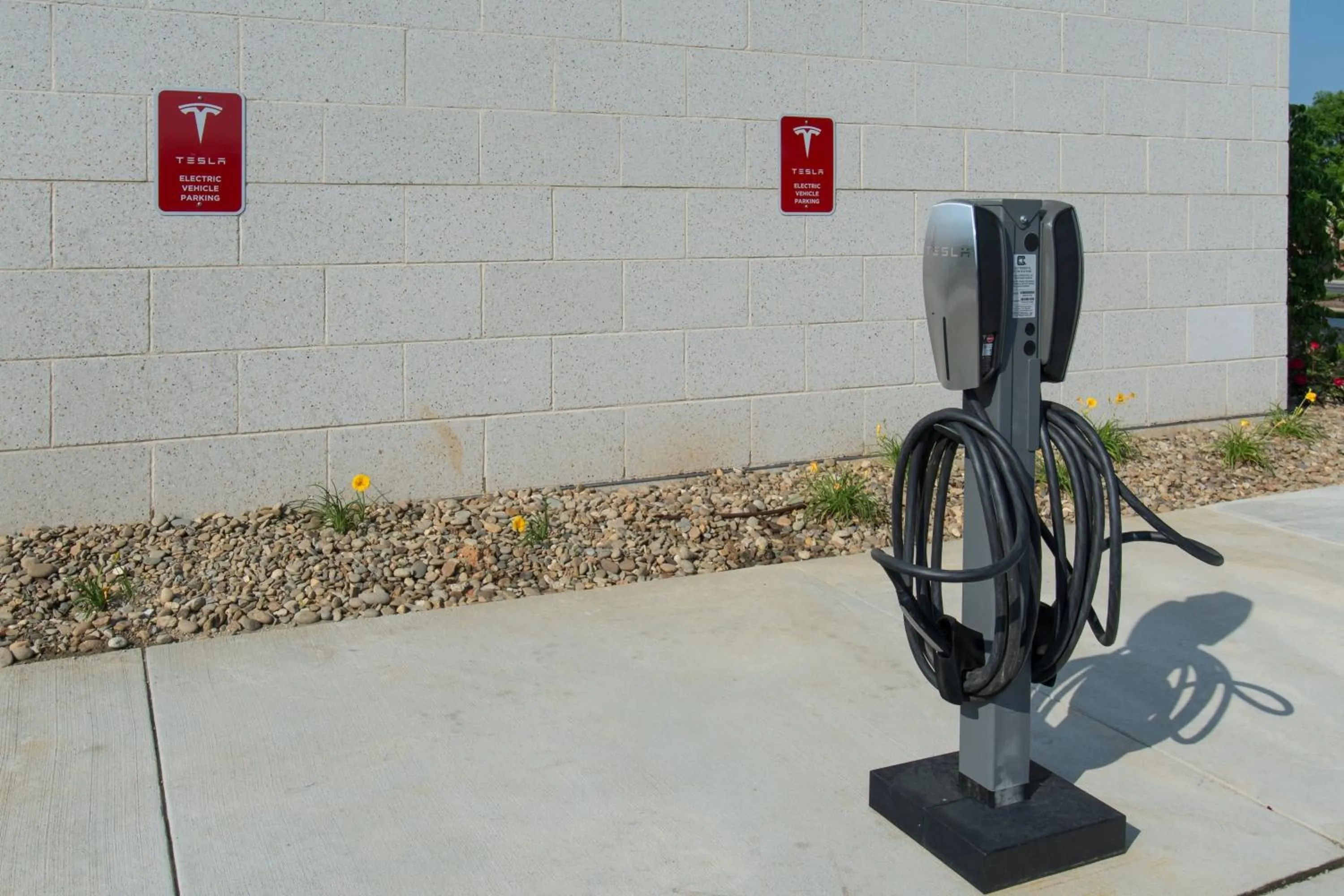 Other in SpringHill Suites by Marriott Charlotte Ballantyne