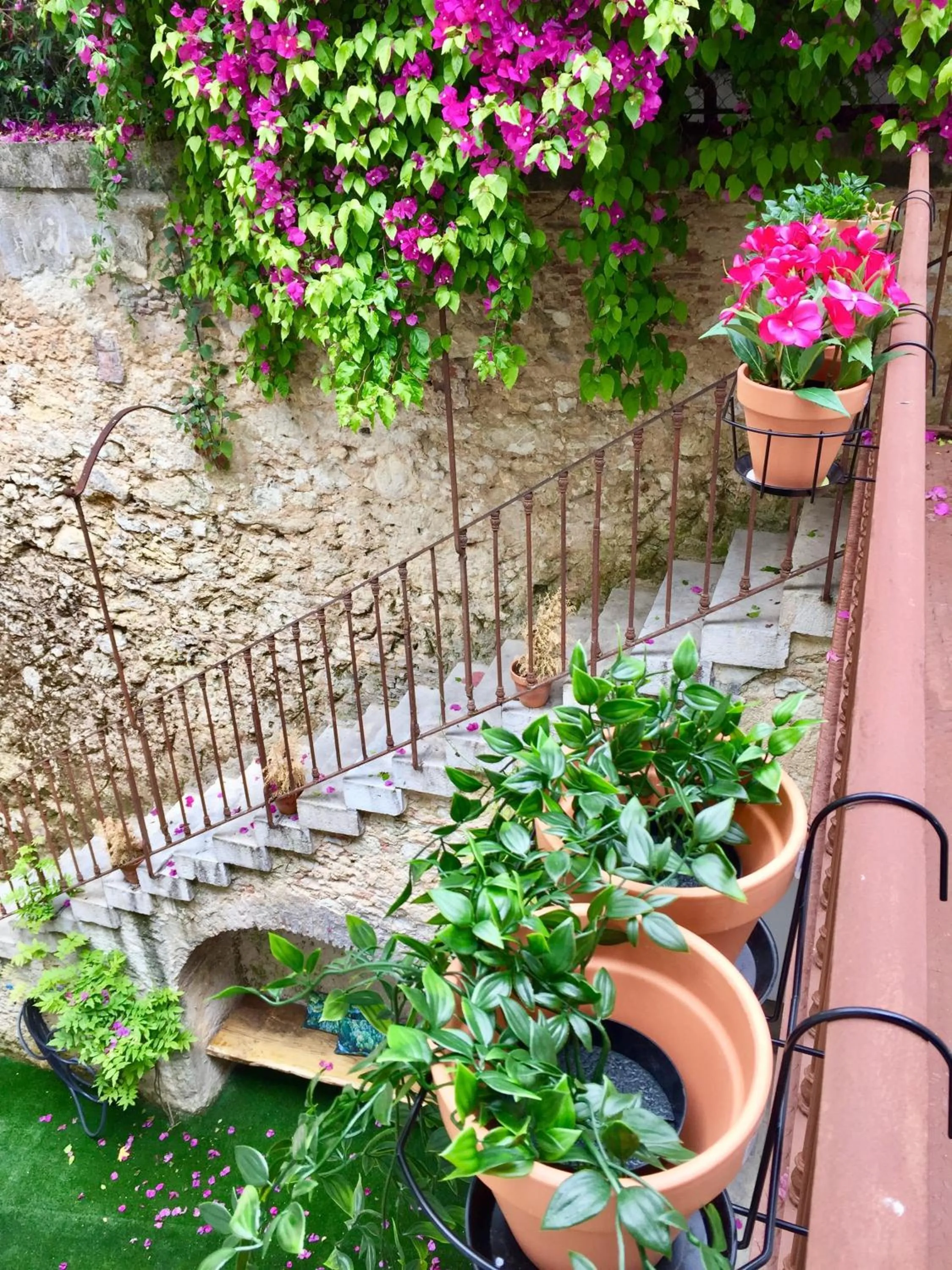 Patio in Lisbon Wine Hotel