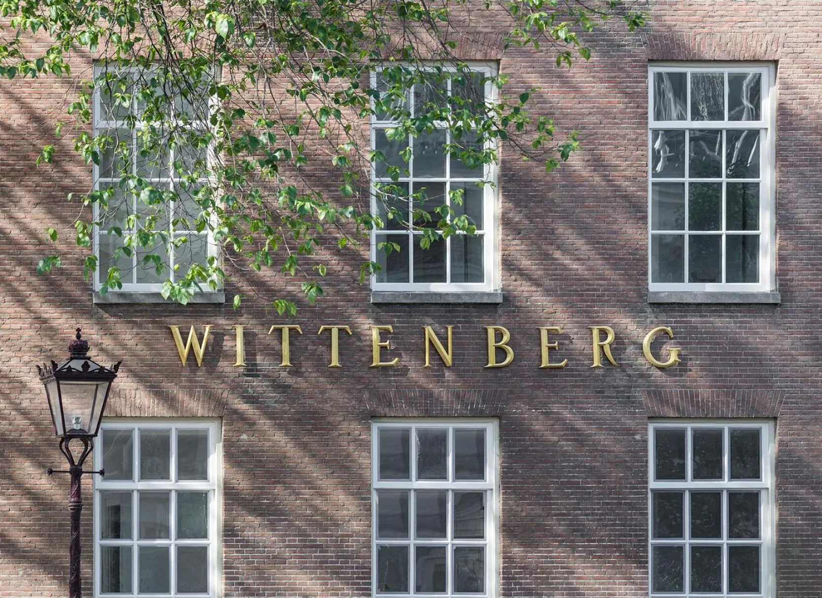 Property building in Wittenberg by Cove