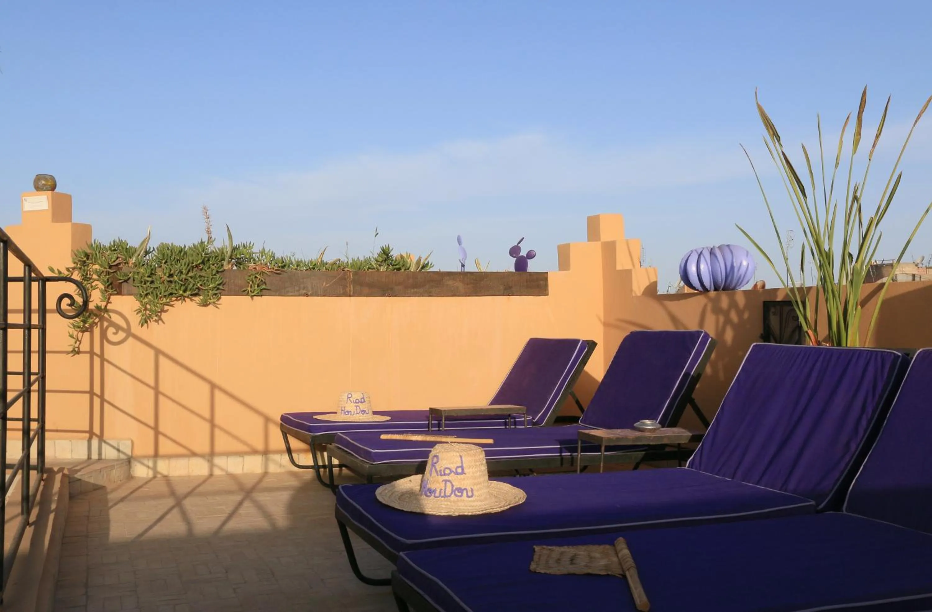 Solarium in Riad Houdou