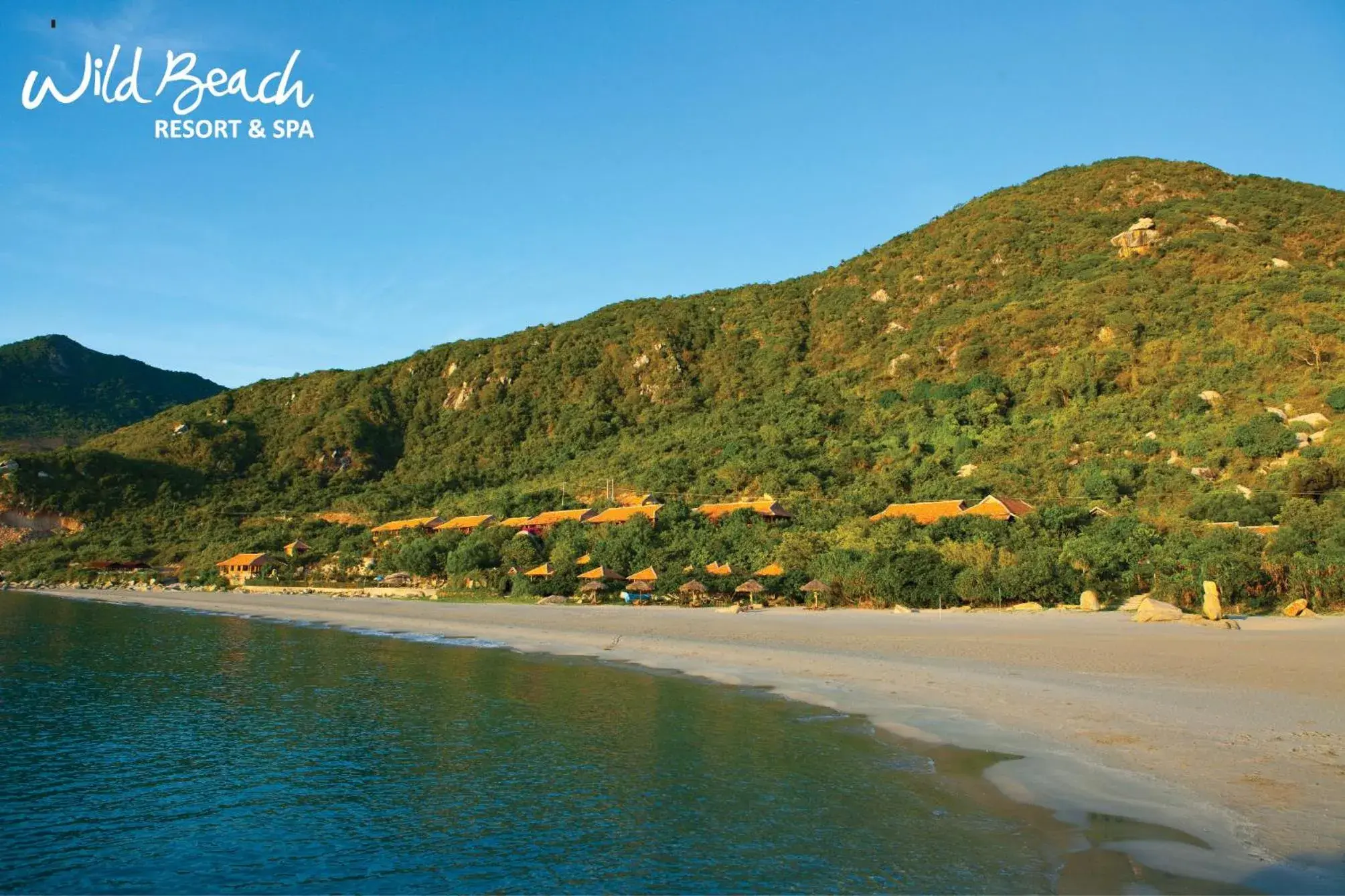 Wild Beach Boutique Resort Wild Beach Boutique Resort