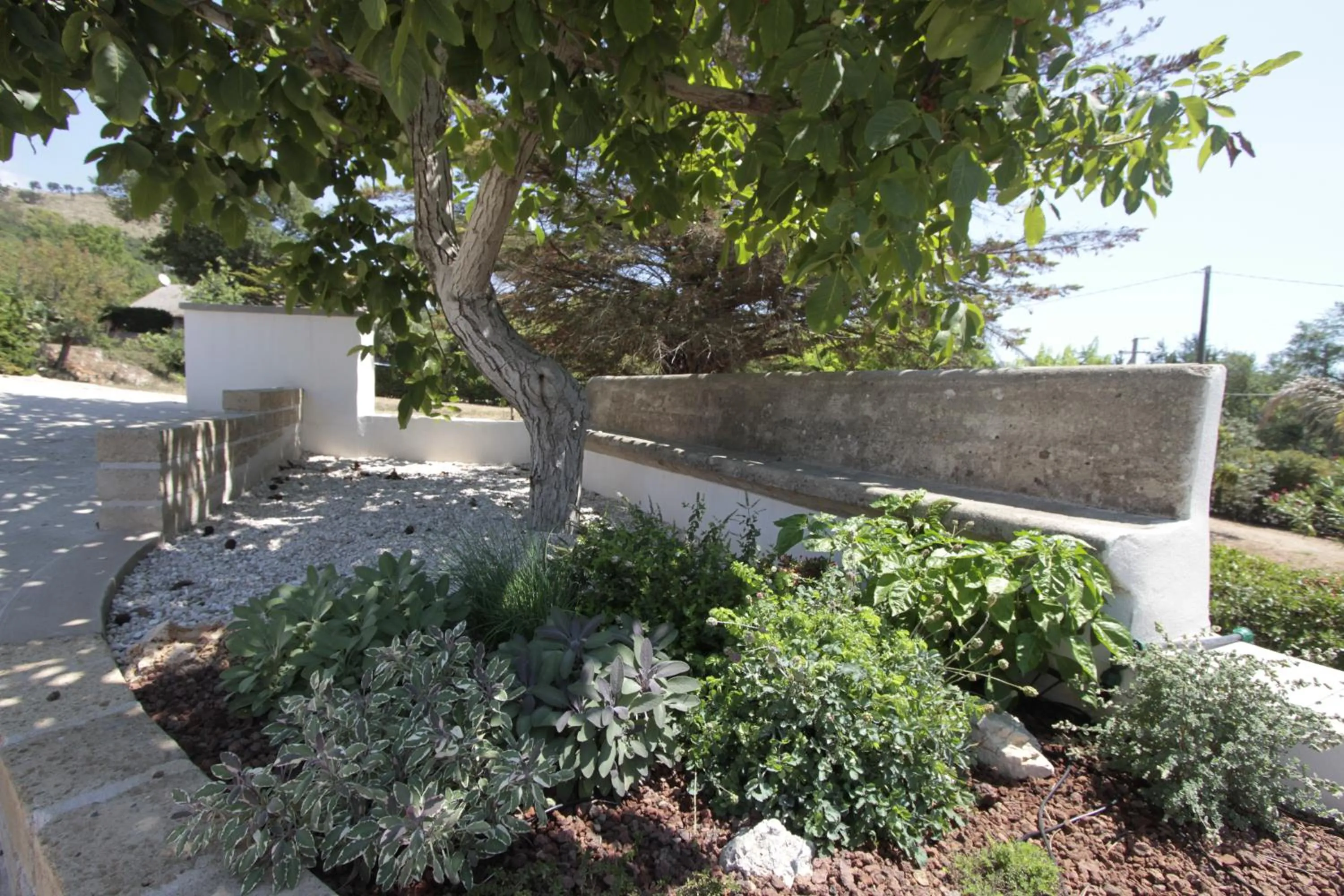 Garden in B&B casaMagliana