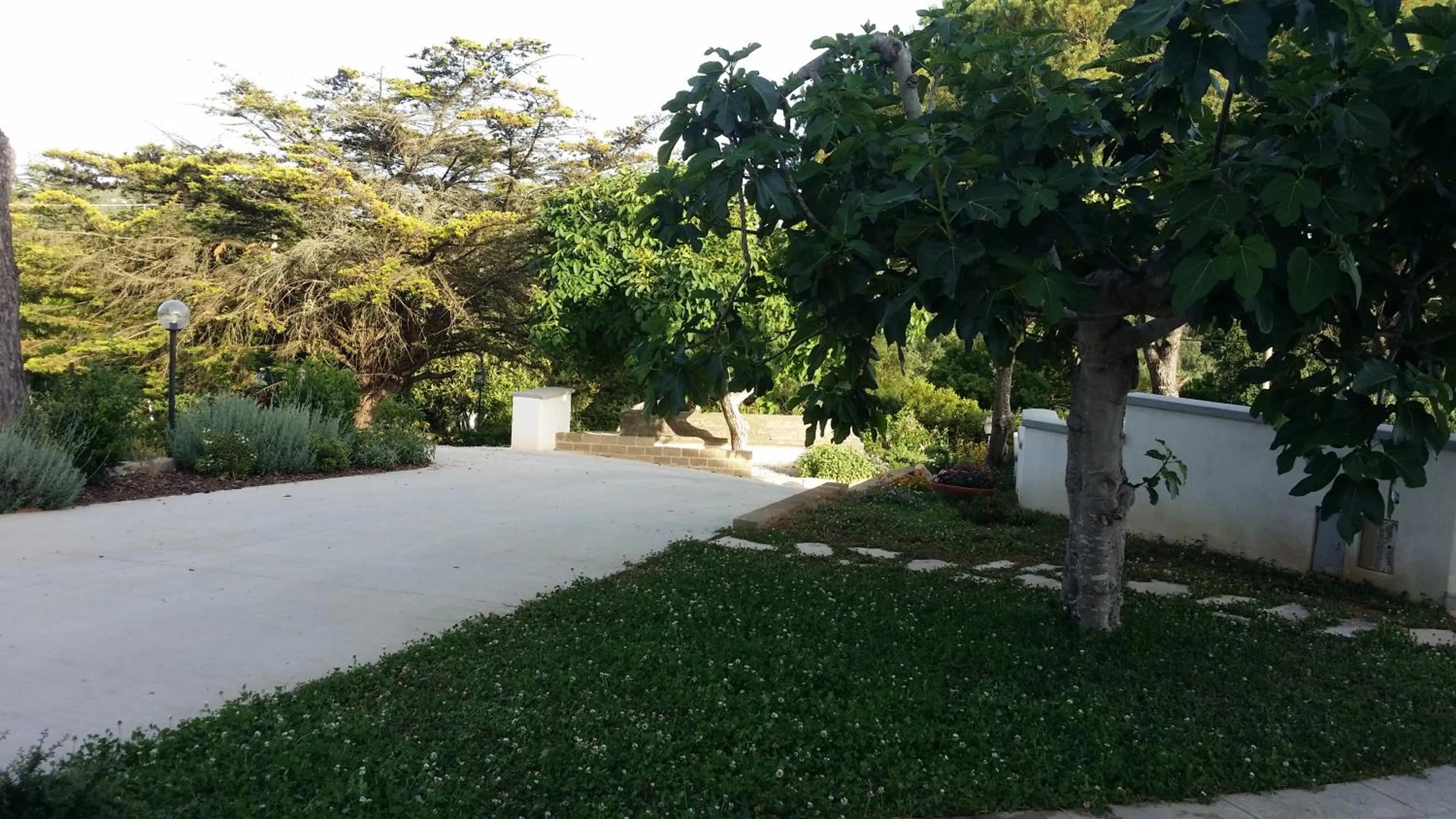 Garden in B&B casaMagliana