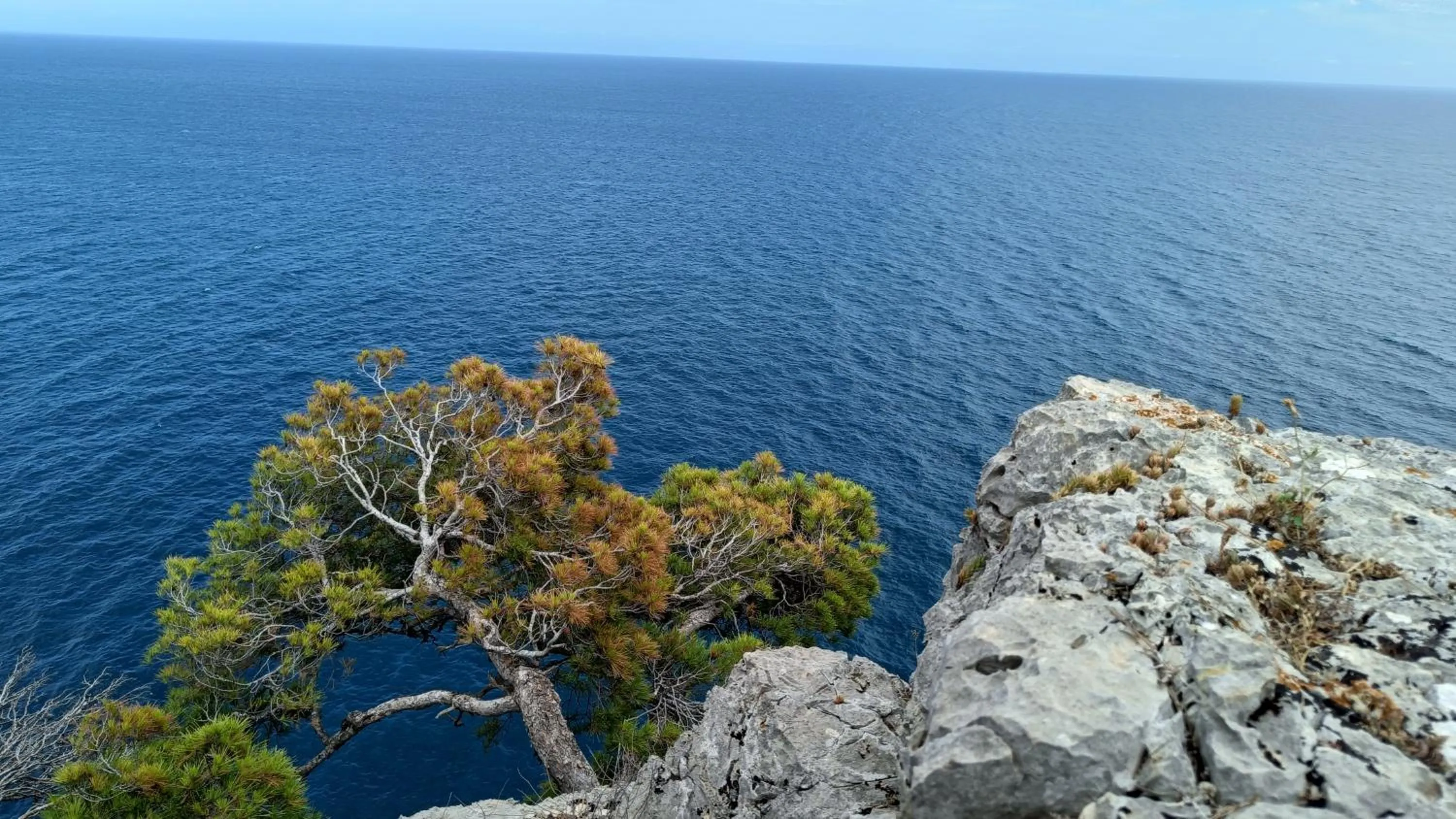 Property building in B&B casaMagliana