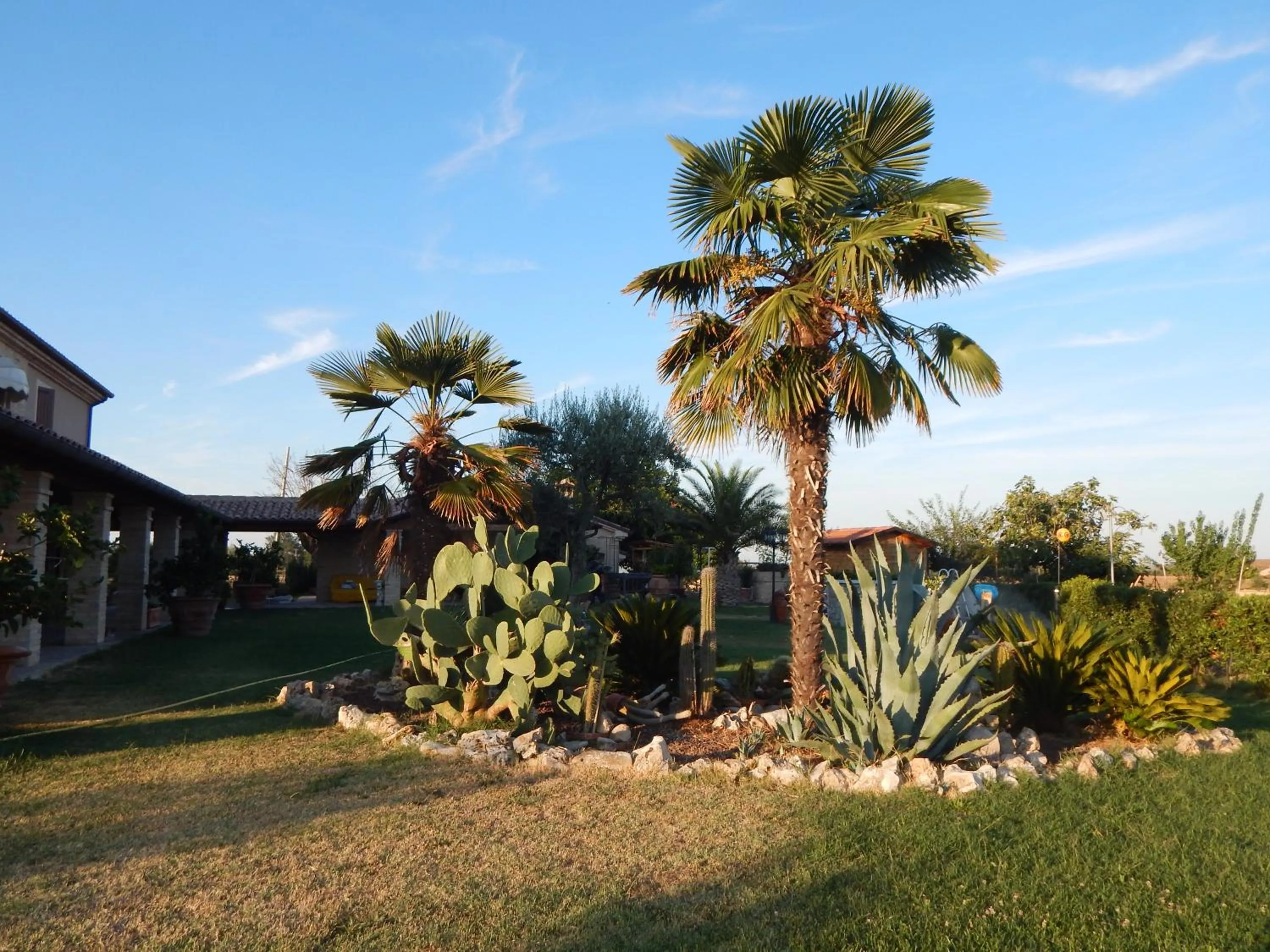 Garden in B & B LE TRE B