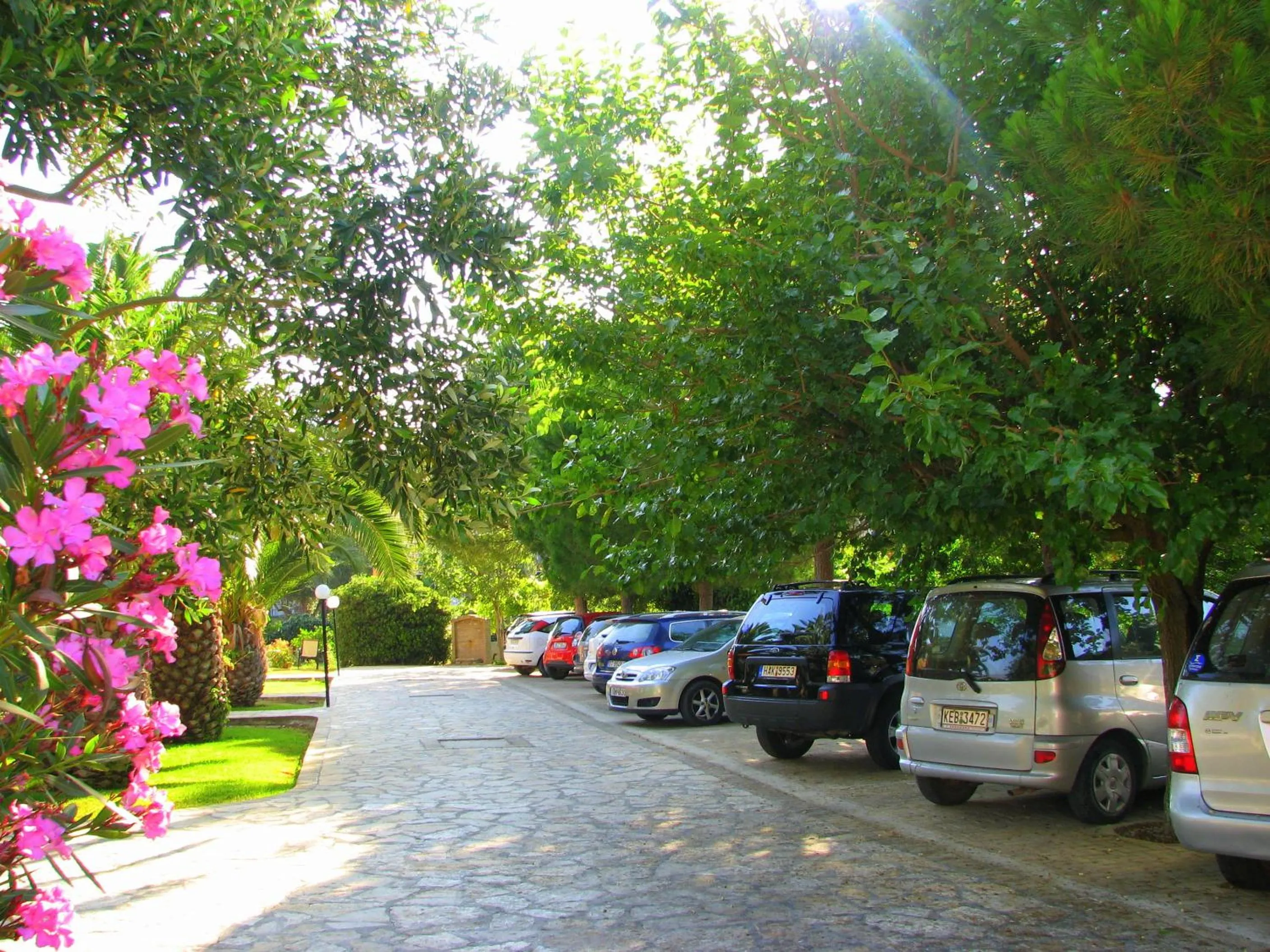 Garden in Simatos αpARTments & Studios