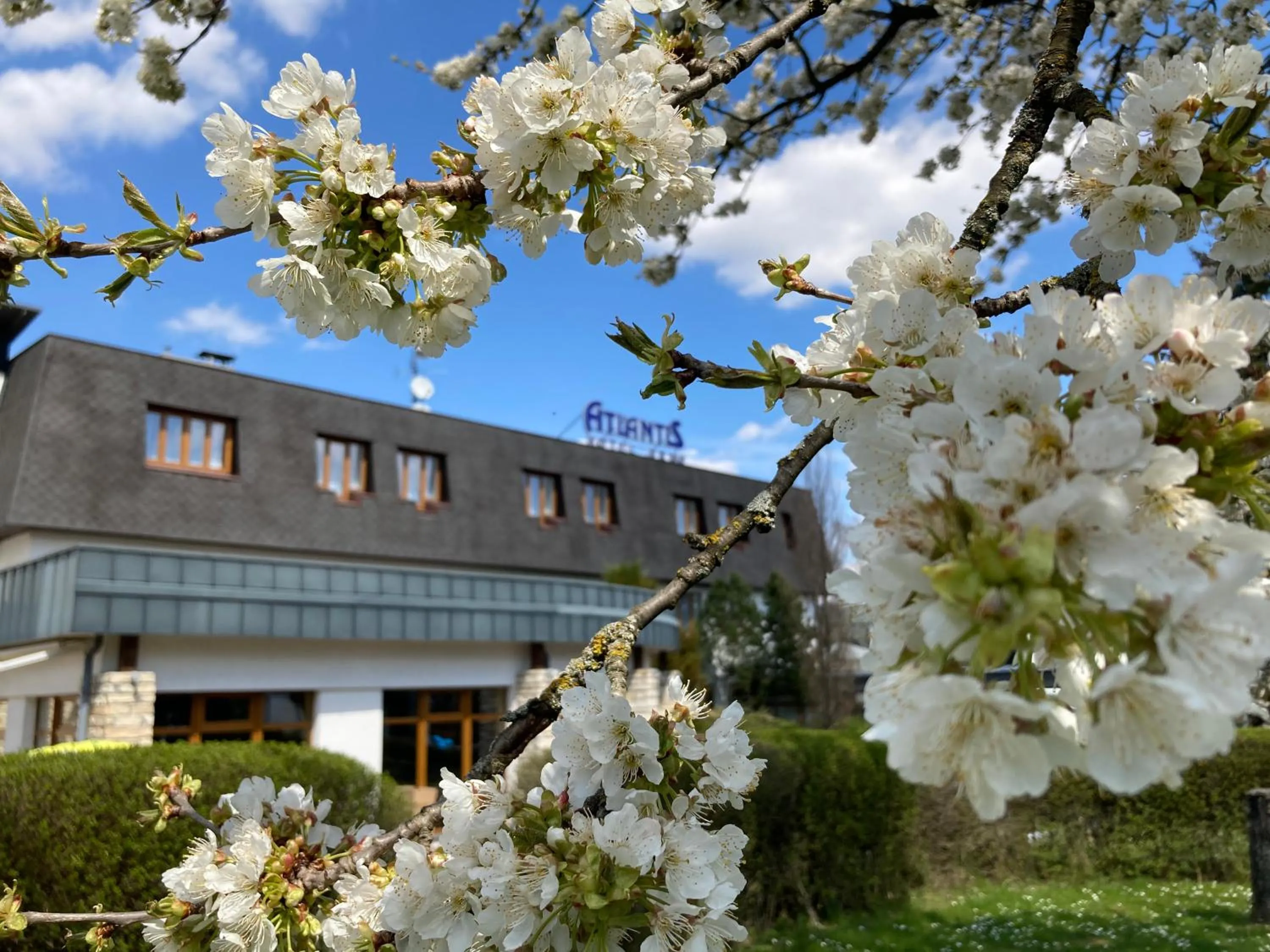 Spring in Hotel Atlantis