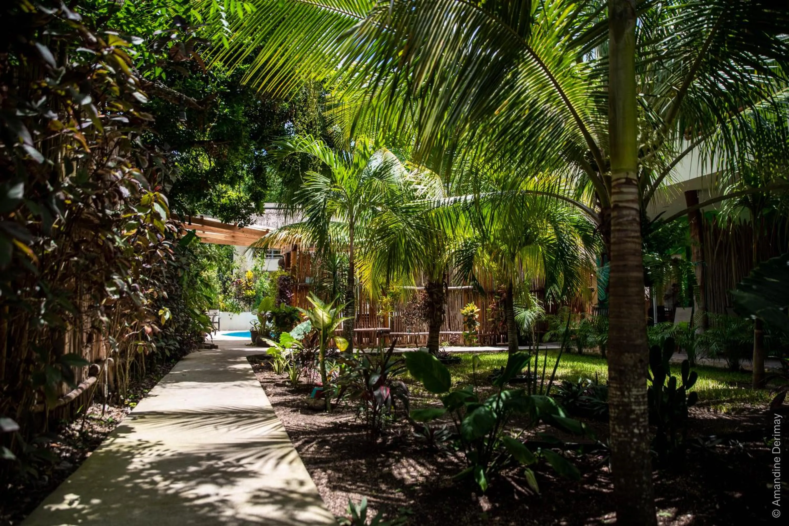 Day in Hotel & Suites Oasis Bacalar