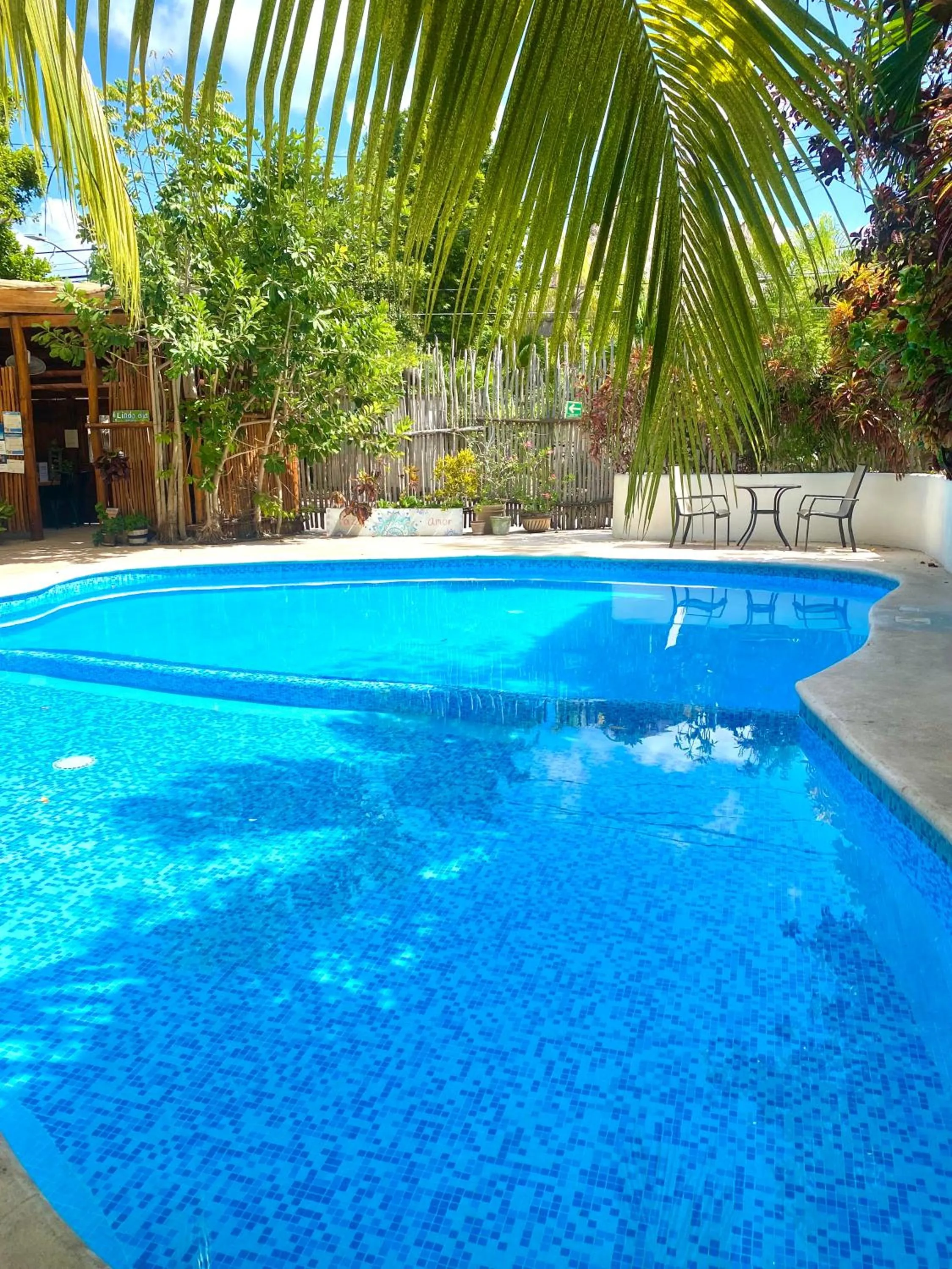 Swimming pool in Hotel & Suites Oasis Bacalar