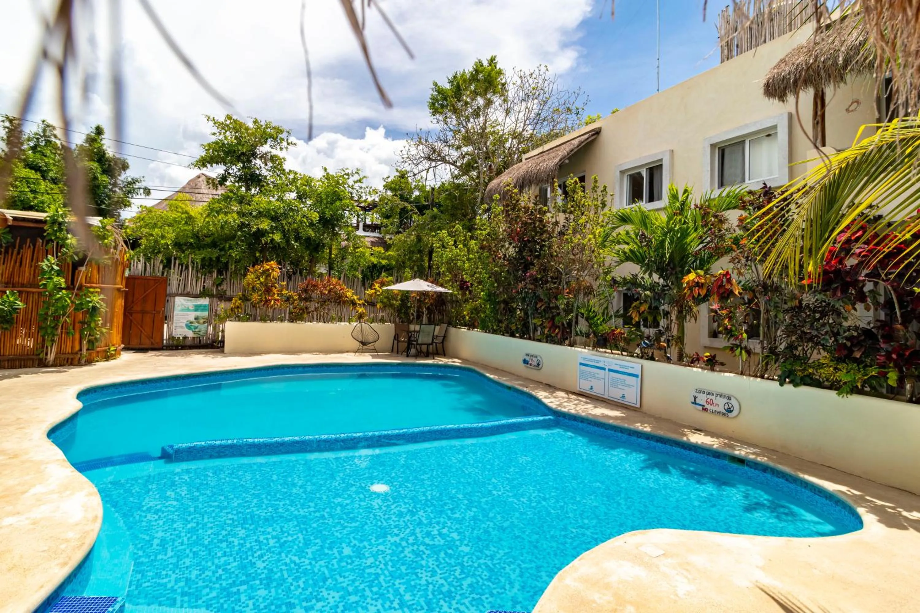 Pool view in Hotel & Suites Oasis Bacalar