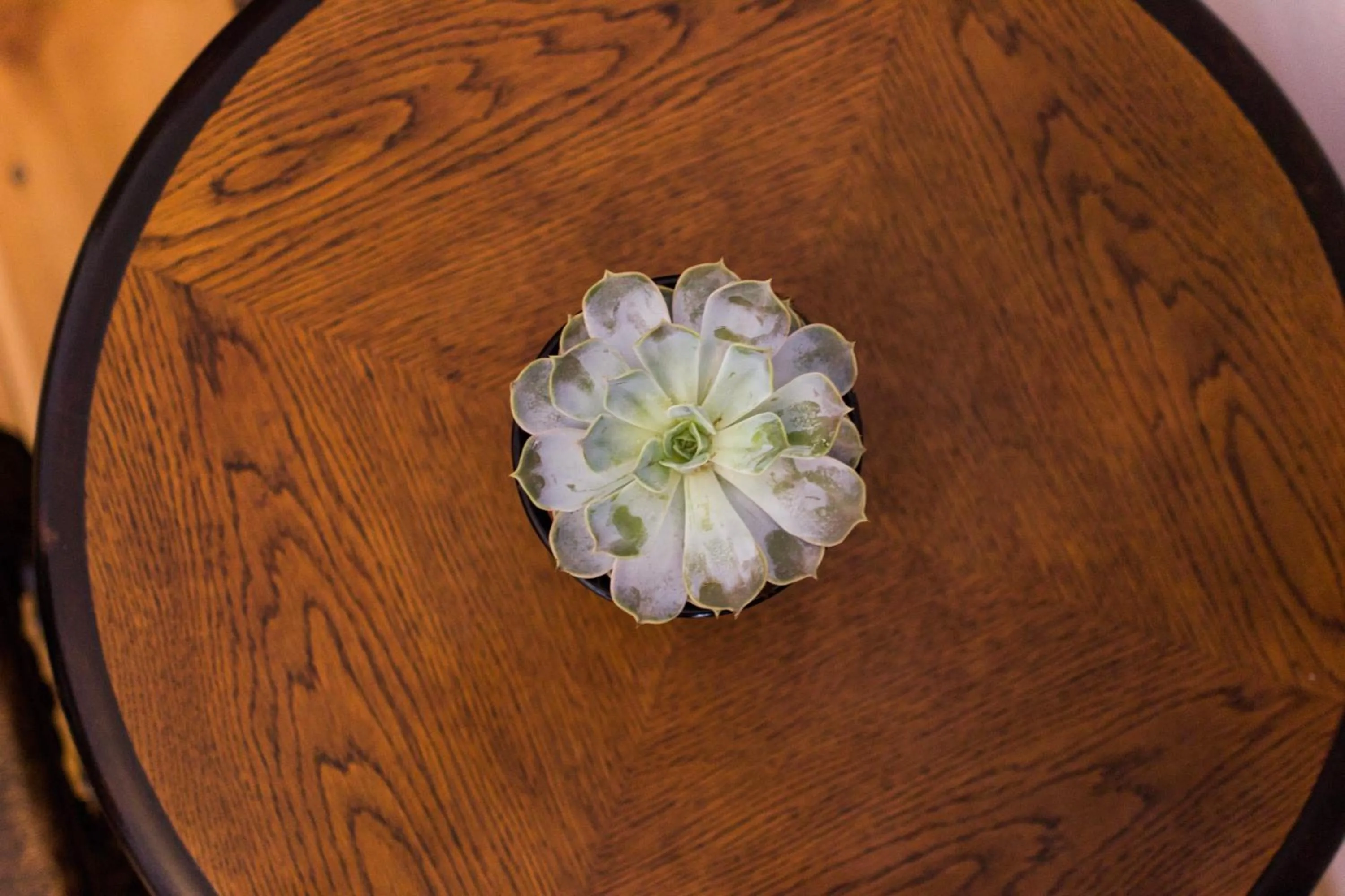 Decorative detail in B&B Krumlov