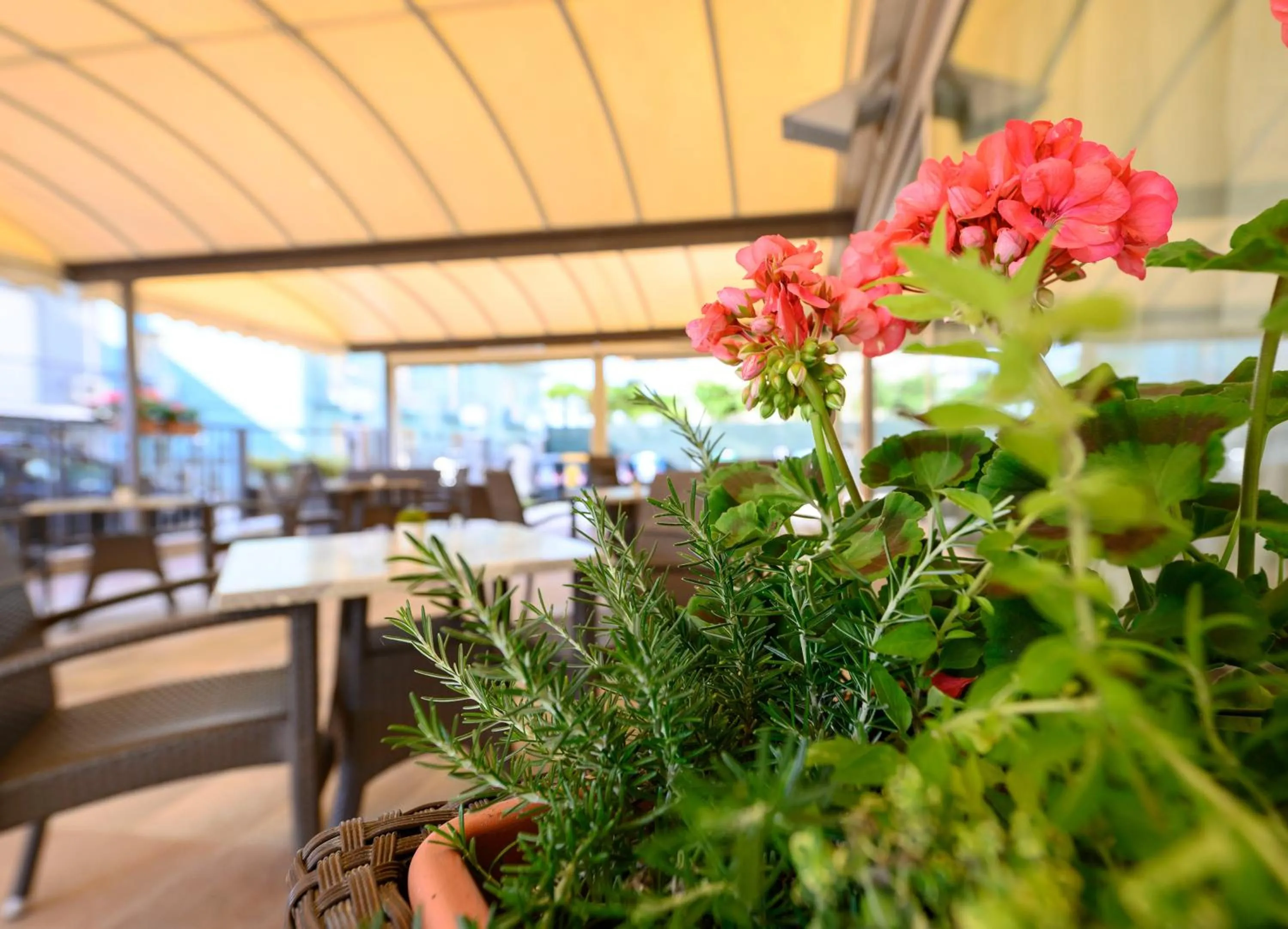 Garden in Hotel Harmony con Piscina panoramica