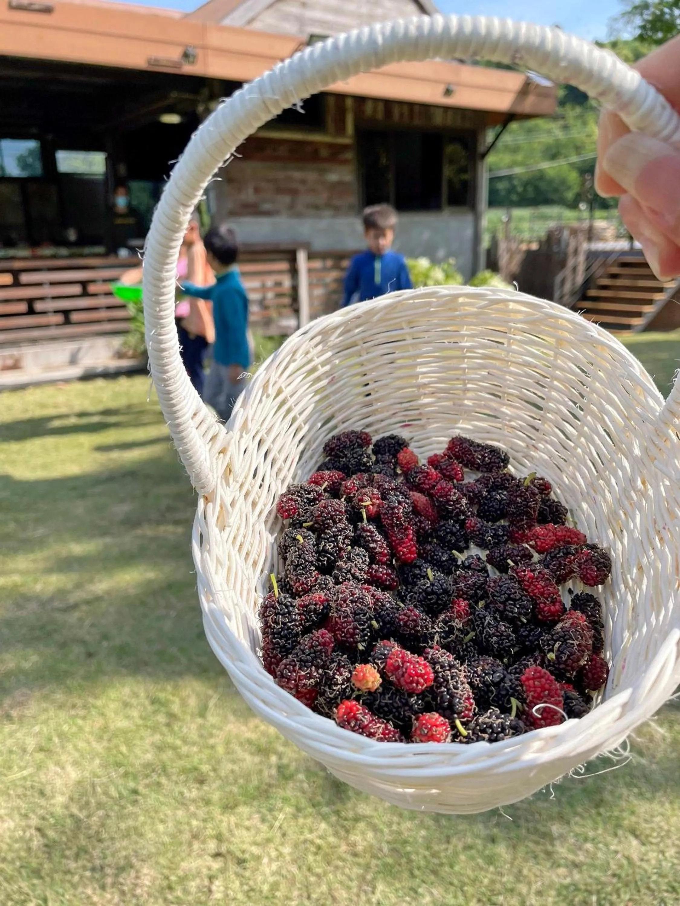Garden in Tantai Eco Farm Stay At Khao Yai