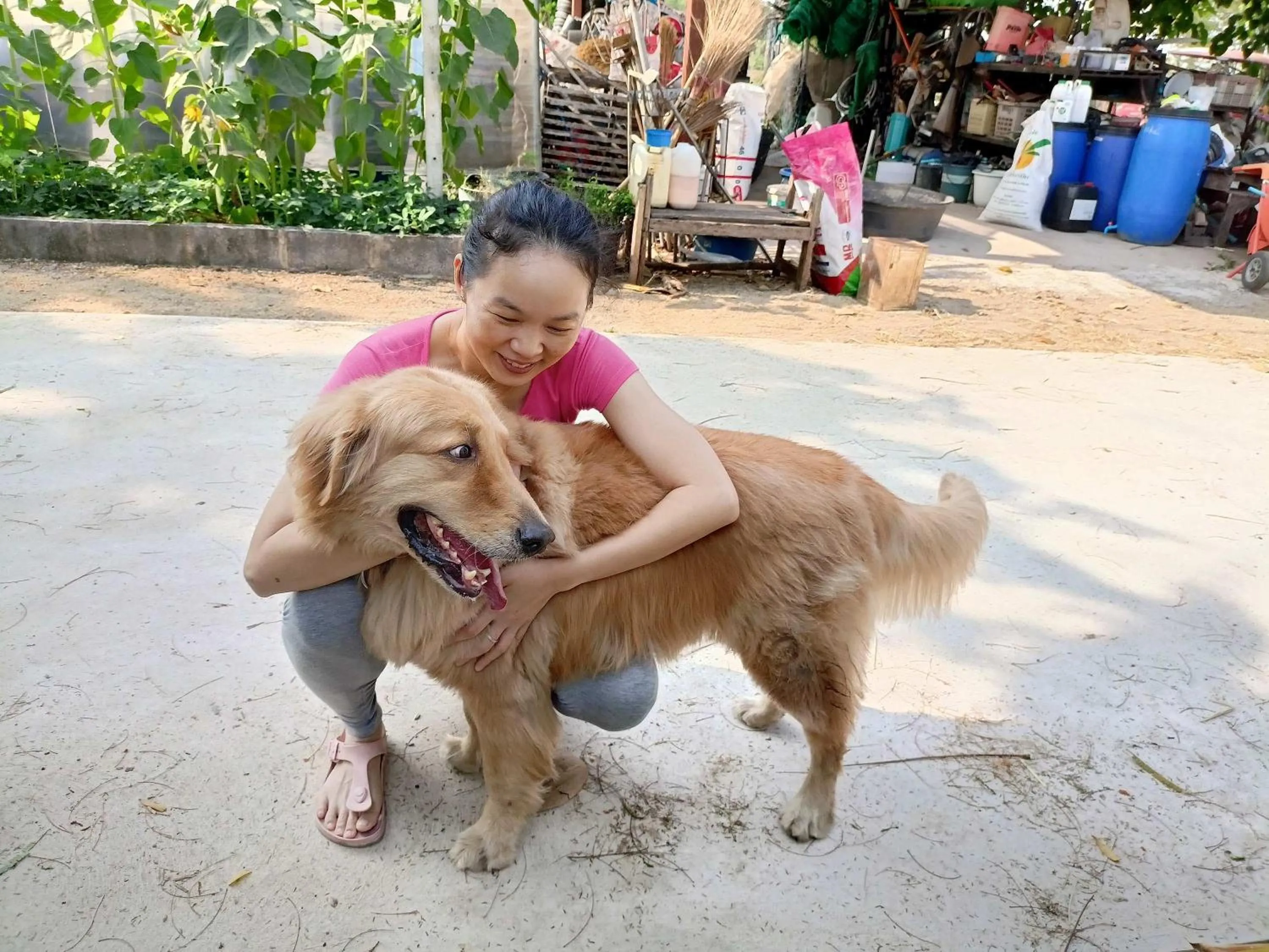Pets in Tantai Eco Farm Stay At Khao Yai