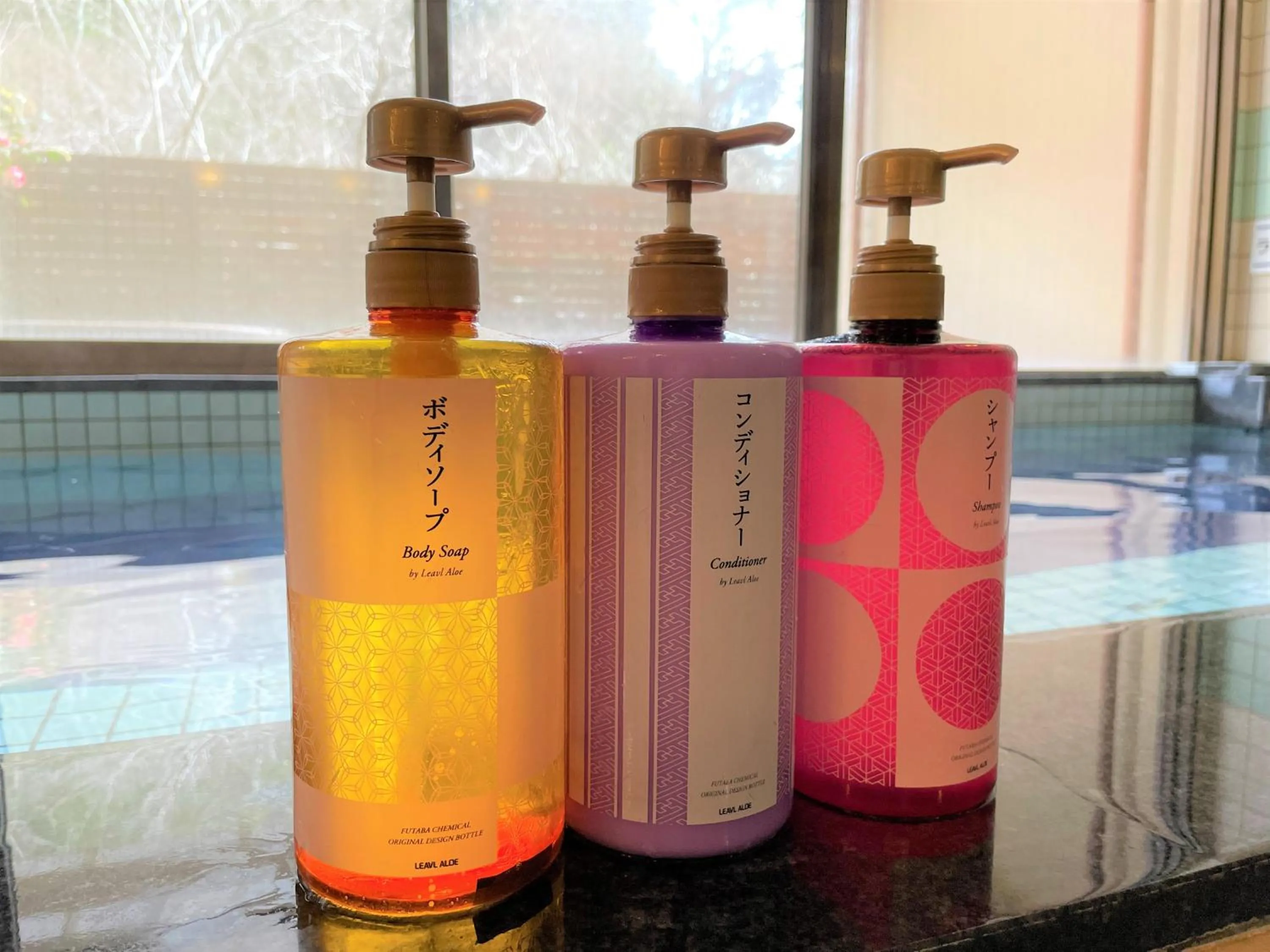 Public Bath in Dochu Land Shin Onsen