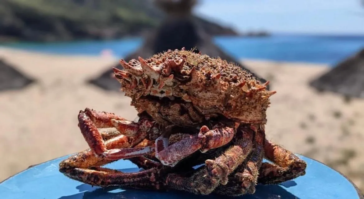 Restaurant/places to eat in Hôtel Lilium Maris