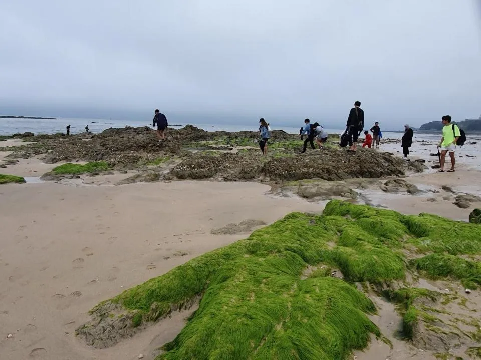 People in Hotel Wooyeon Flora