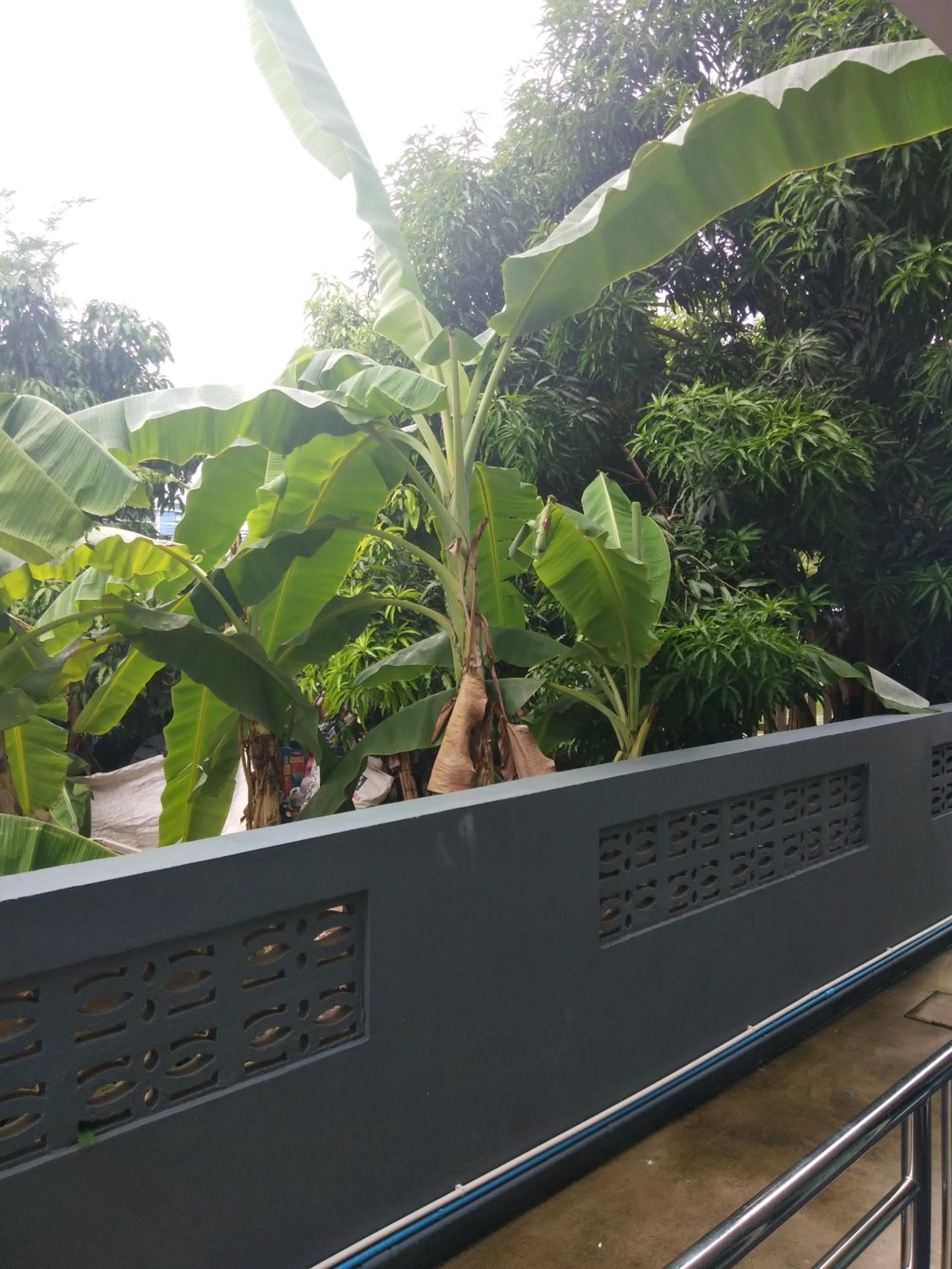 Asia's Beach Apartments