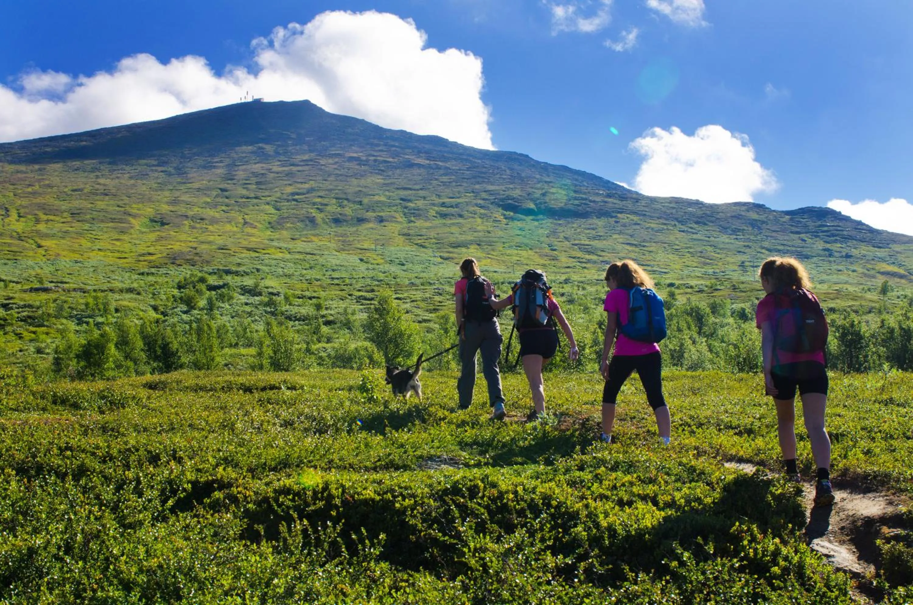 Hiking in Tärnaby Fjällhotell