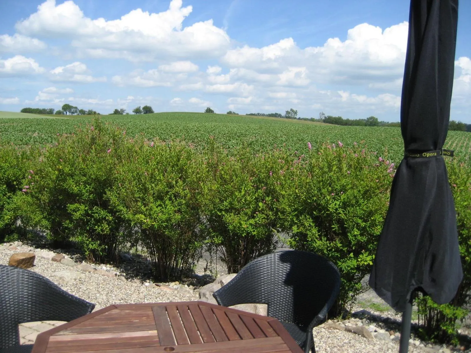 View (from property/room) in Gårdsboende