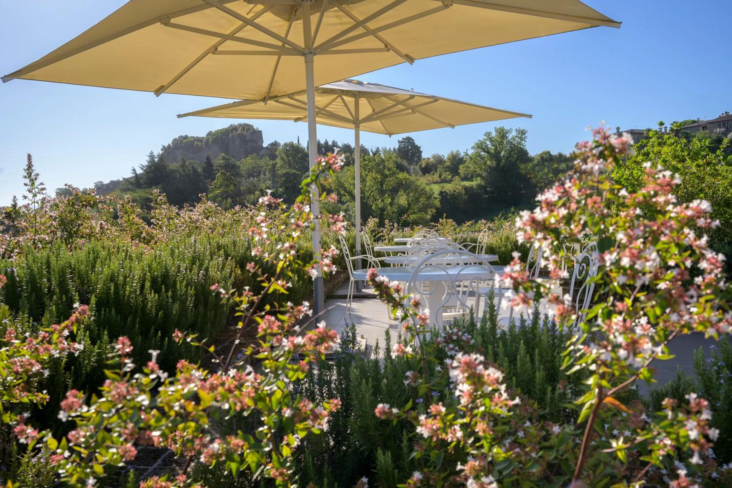 Natural landscape in Altarocca Wine Resort Adults Only