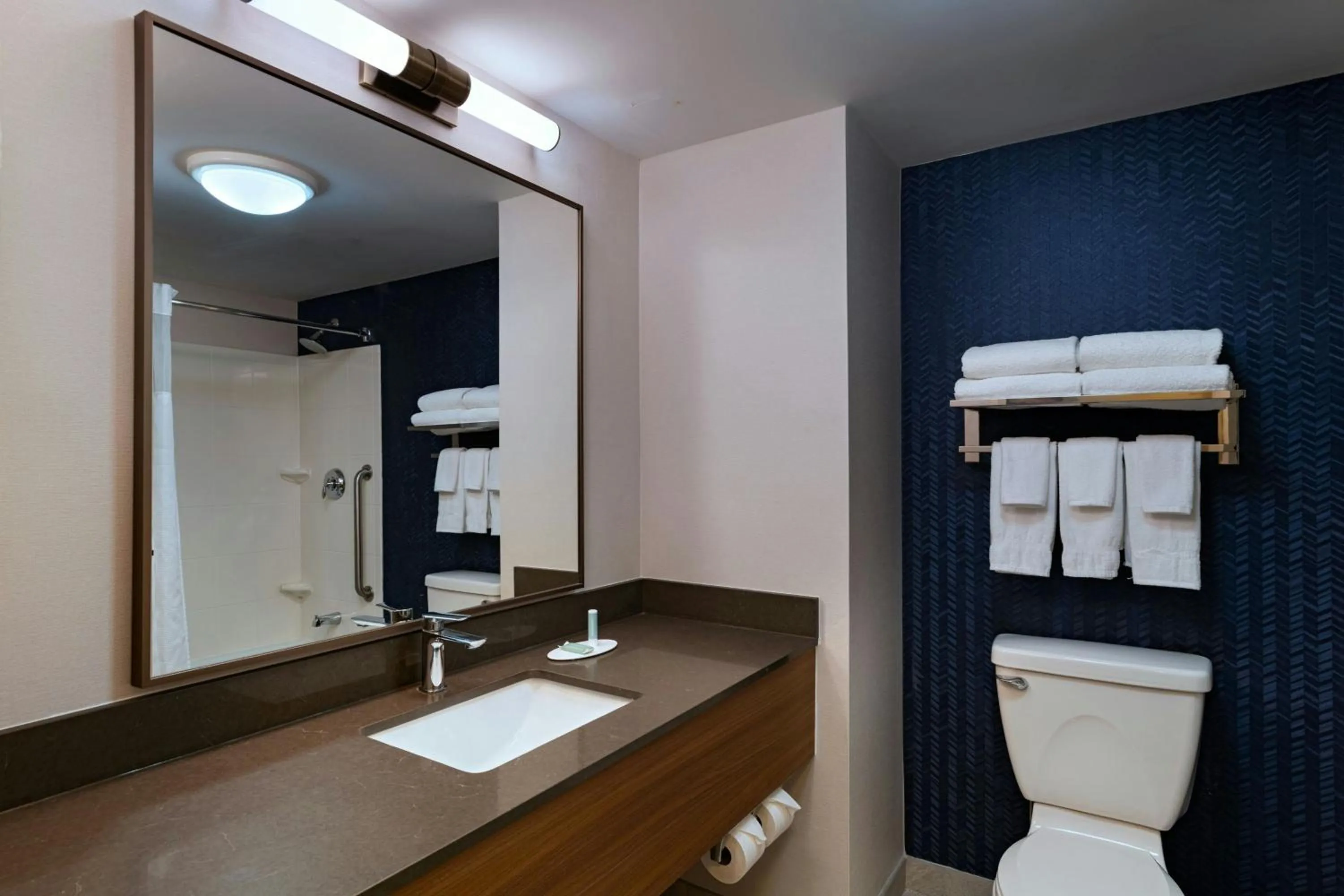 Bathroom in Fairfield Inn & Suites by Marriott Edison - South Plainfield